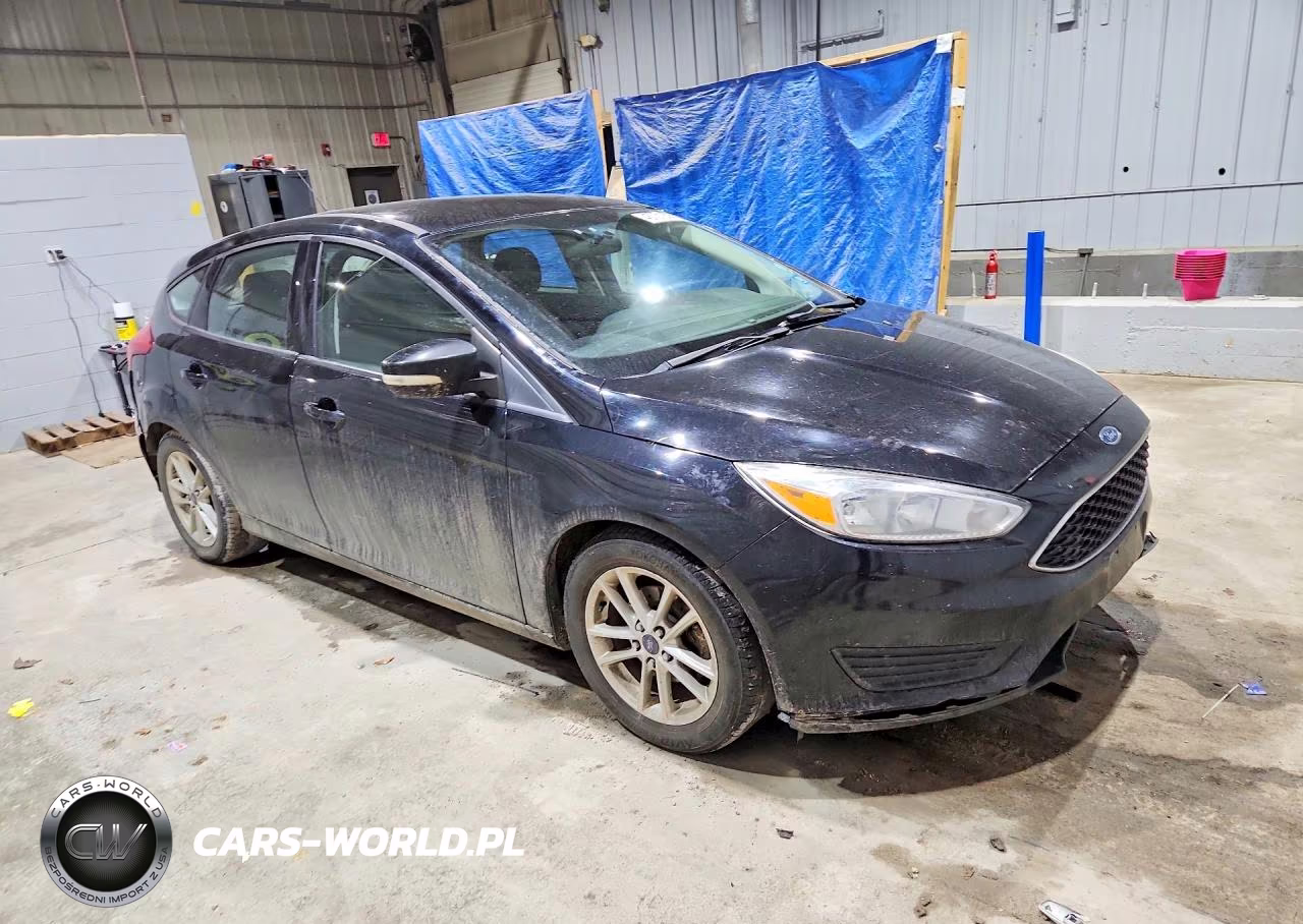 2016 Ford Focus Se VIN:1FADP3K21GL247846 - 4