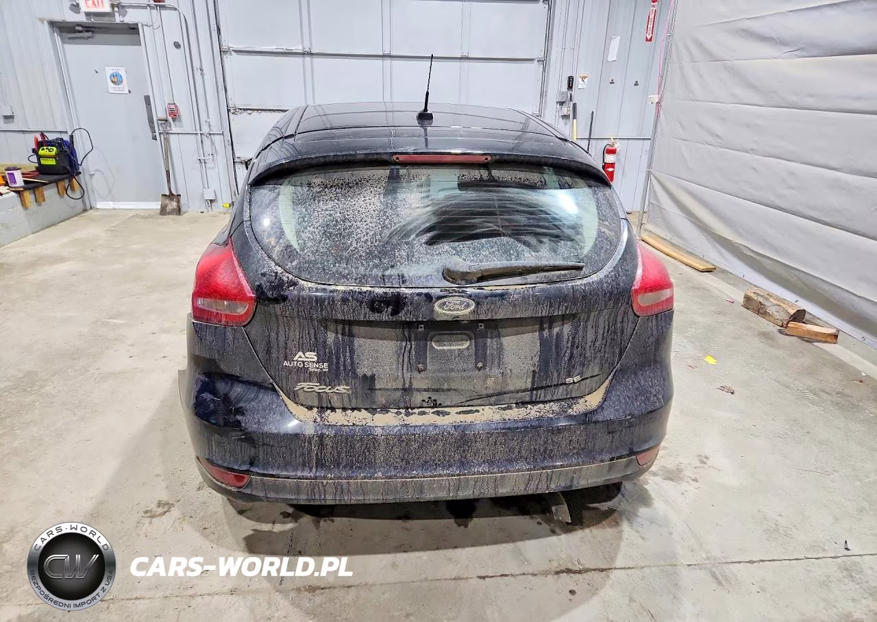 2016 Ford Focus Se VIN:1FADP3K21GL247846 - 6