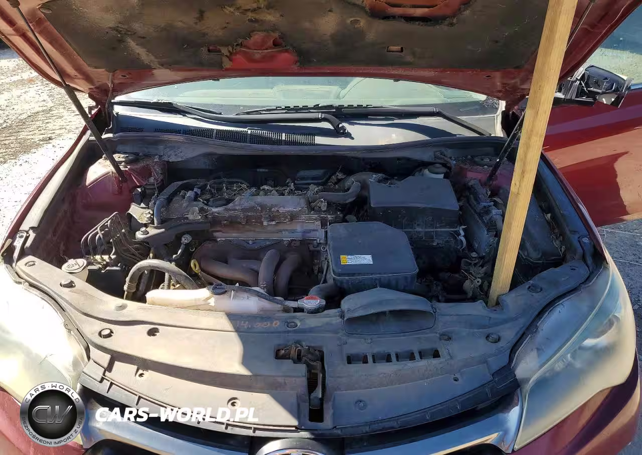 2016 Toyota Camry Xse VIN:4T1BF1FK4GU546319 - 11