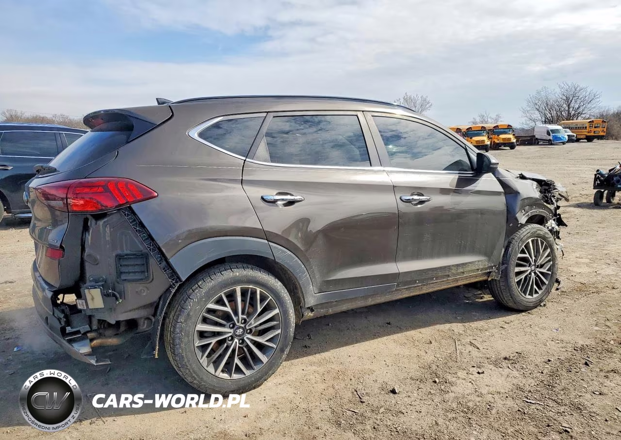 2019 Hyundai Tucson Ultimate VIN:KM8J3CAL1KU947674 - 3