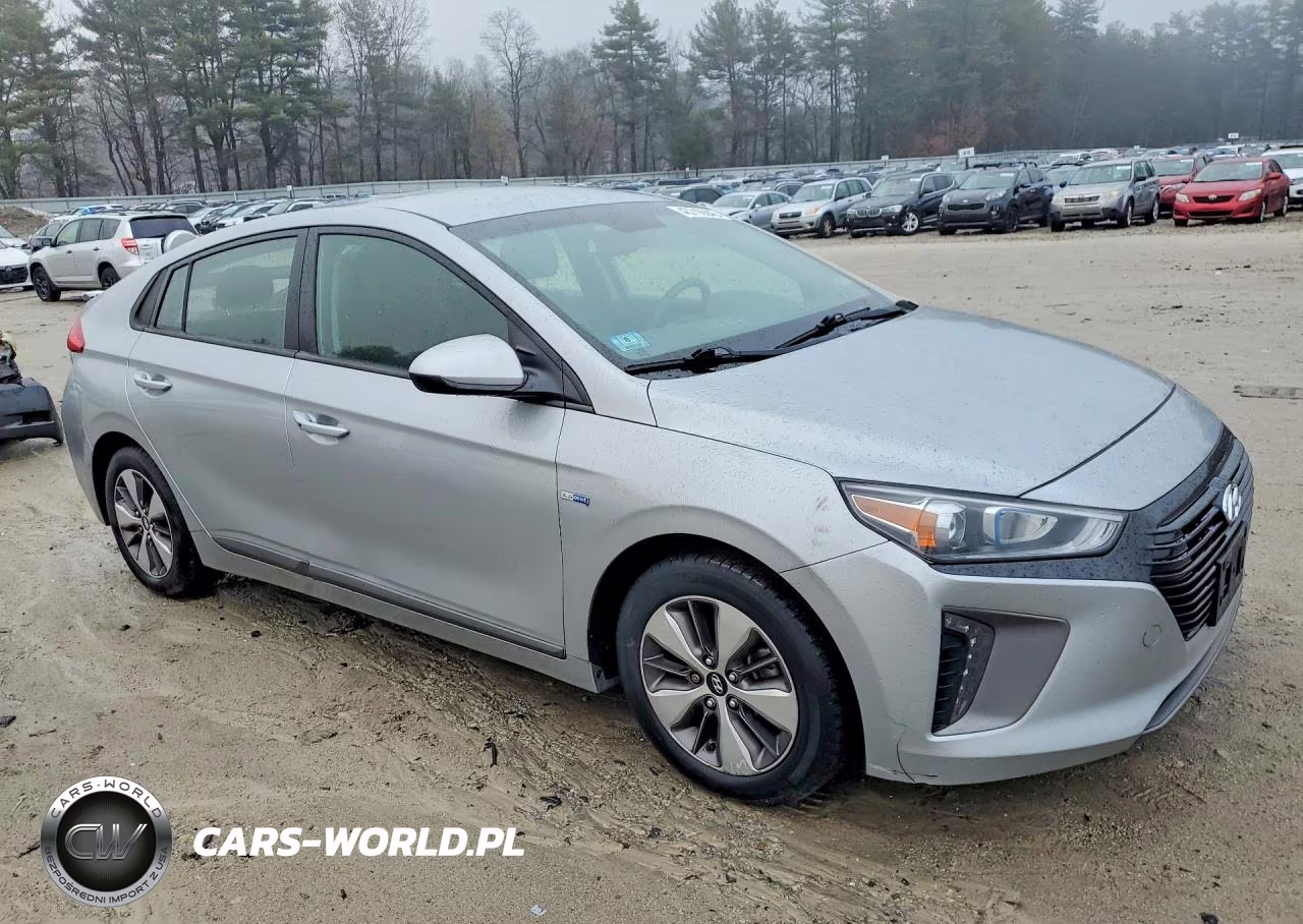 2019 Hyundai Ioniq Plug-In Hybrid Base VIN:KMHC65LD6KU178638 - 4