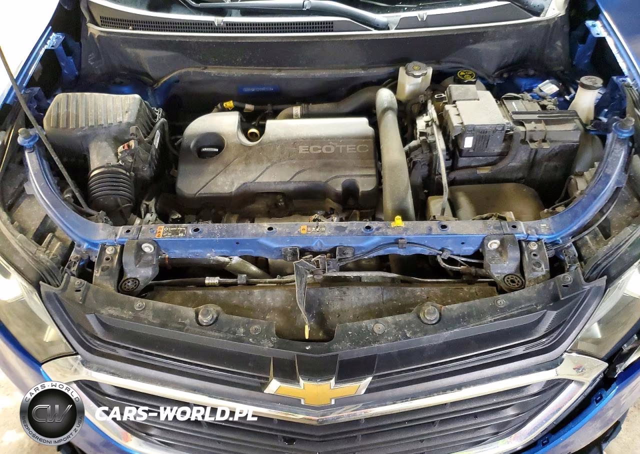 2019 Chevrolet Equinox Ls VIN:3GNAXSEV2KS542218 - 12