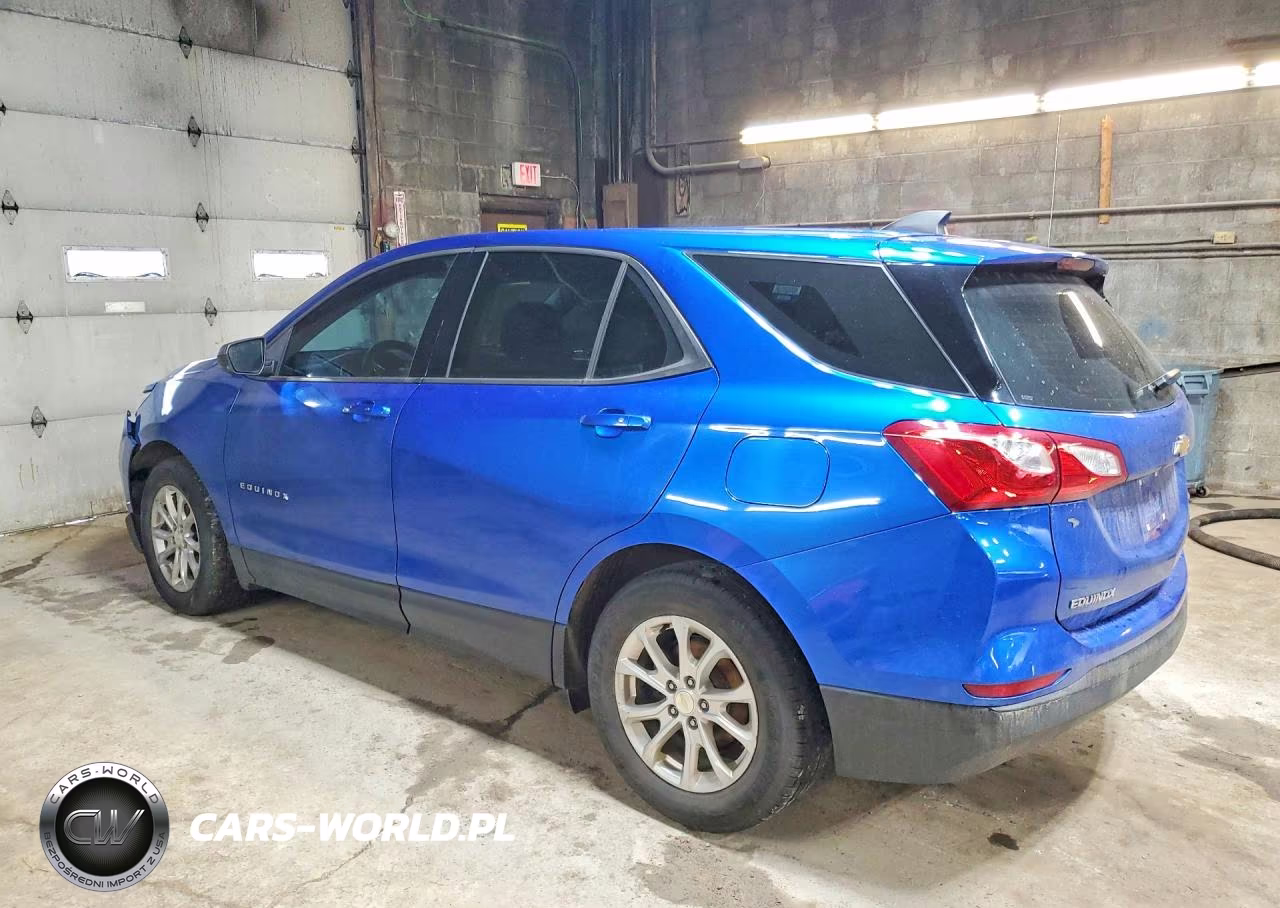 2019 Chevrolet Equinox Ls VIN:3GNAXSEV2KS542218 - 2