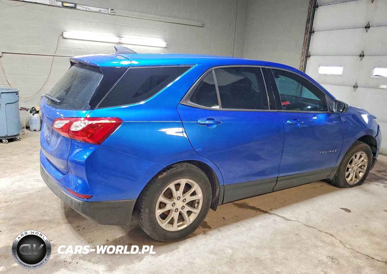 2019 Chevrolet Equinox Ls VIN:3GNAXSEV2KS542218 - 3