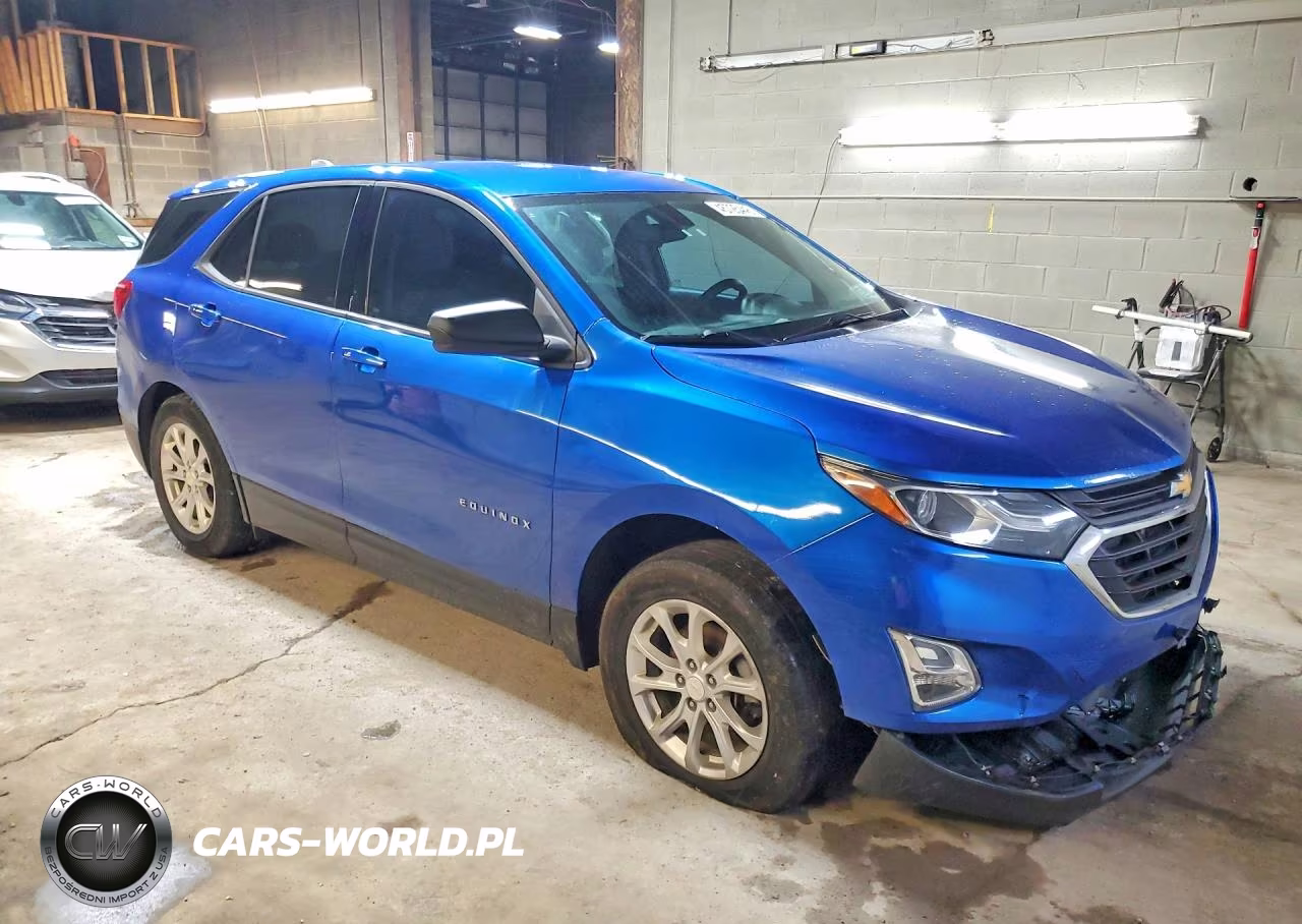 2019 Chevrolet Equinox Ls VIN:3GNAXSEV2KS542218 - 4