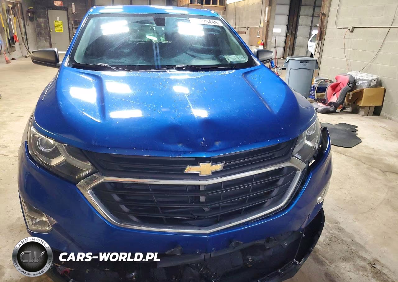 2019 Chevrolet Equinox Ls VIN:3GNAXSEV2KS542218 - 5