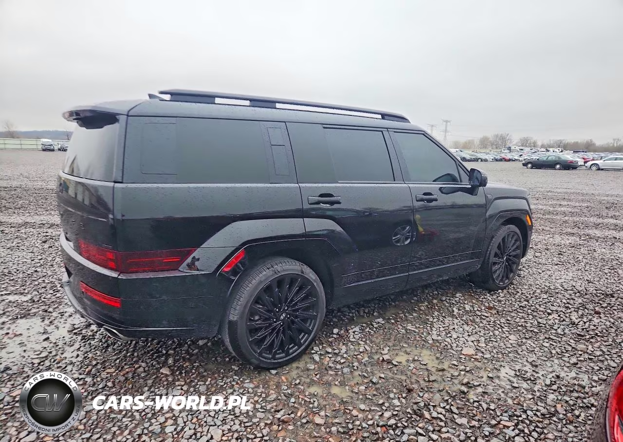 2024 Hyundai Santa Fe Calligraphy VIN:5NMP5DGL3RH053571 - 3