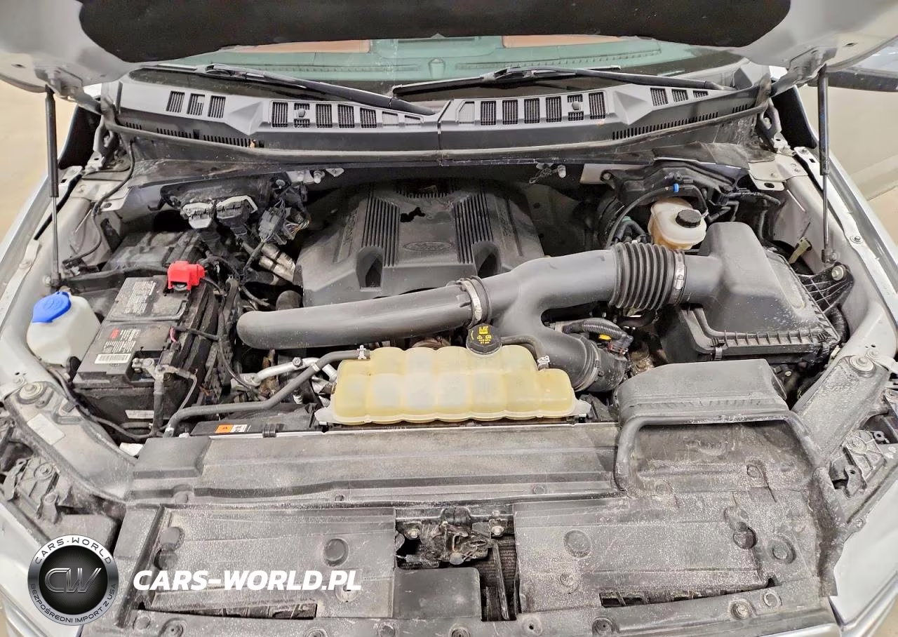 2019 Ford F150 Supercrew VIN:1FTEW1E41KFD24113 - 11