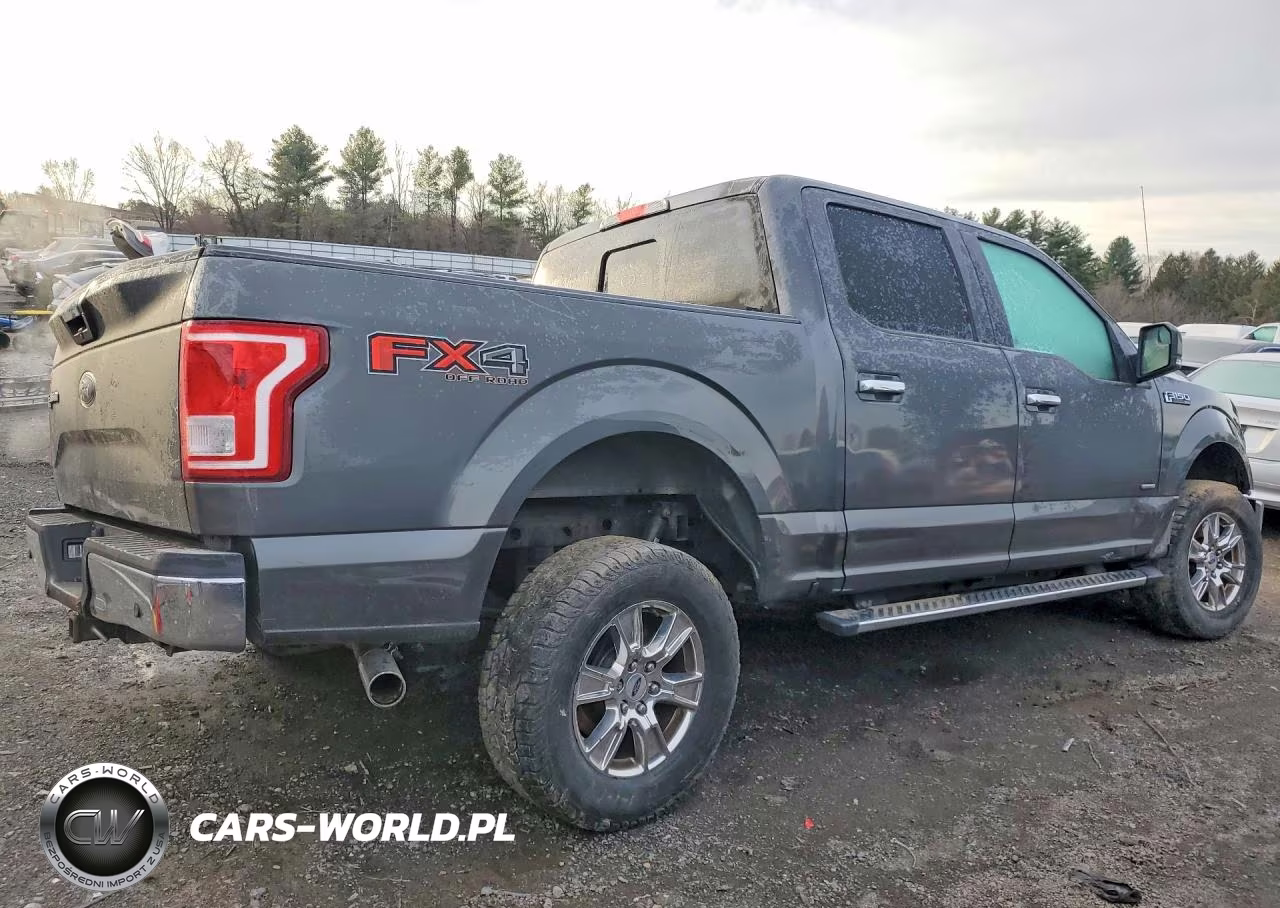 2016 Ford F150 Supercrew VIN:1FTEW1EG2GFC80642 - 3