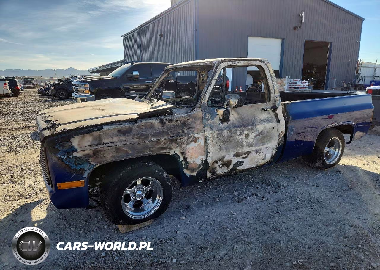 1981 Chevrolet C10