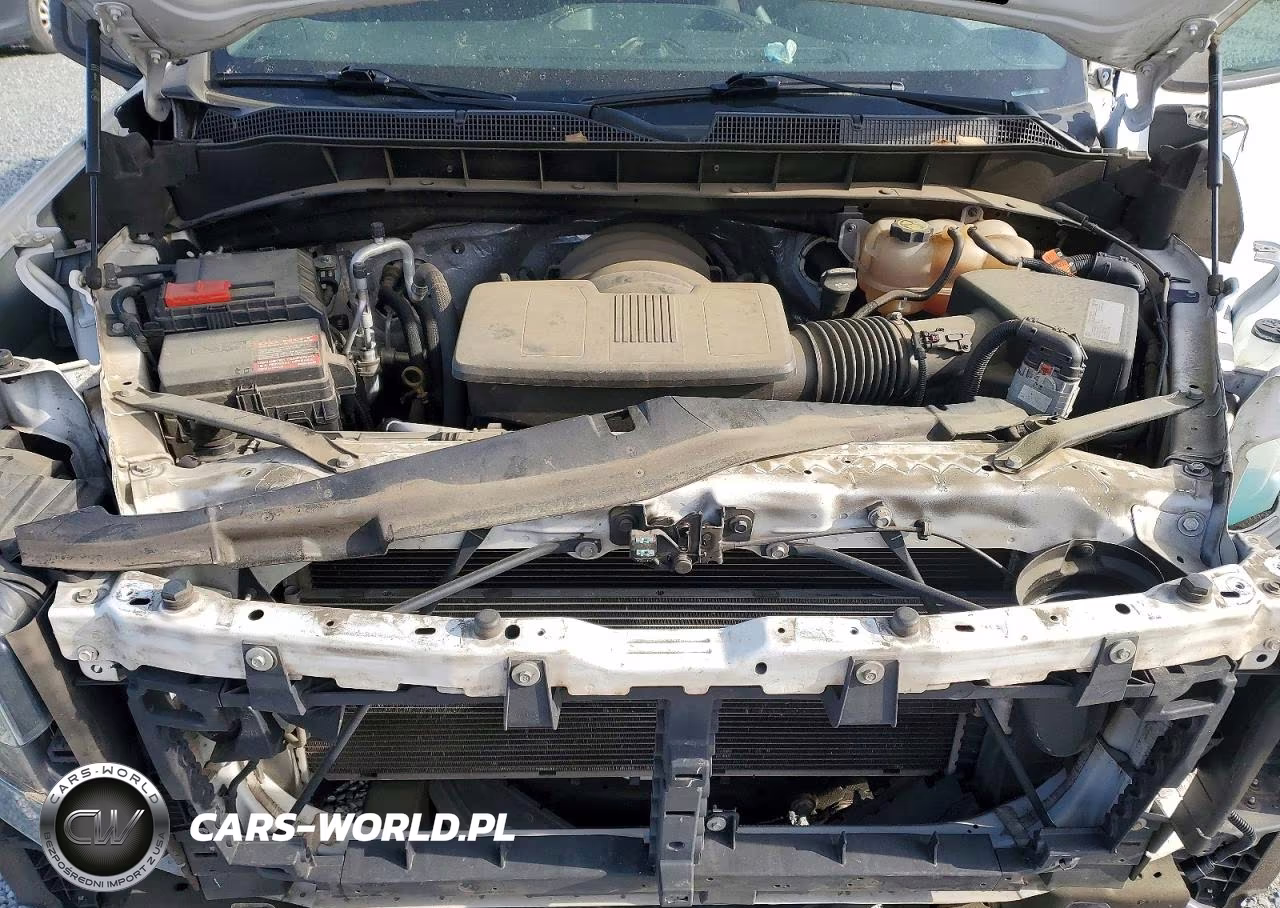 2020 Chevrolet Silverado C1500 VIN:3GCNWAEF7LG301226 - 11