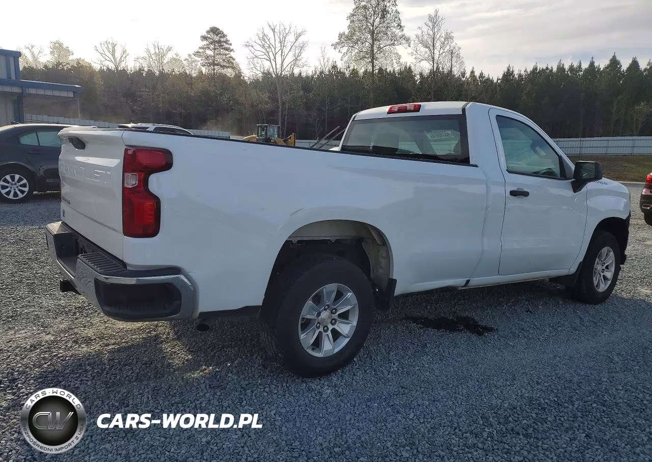 2020 Chevrolet Silverado C1500 VIN:3GCNWAEF7LG301226 - 3
