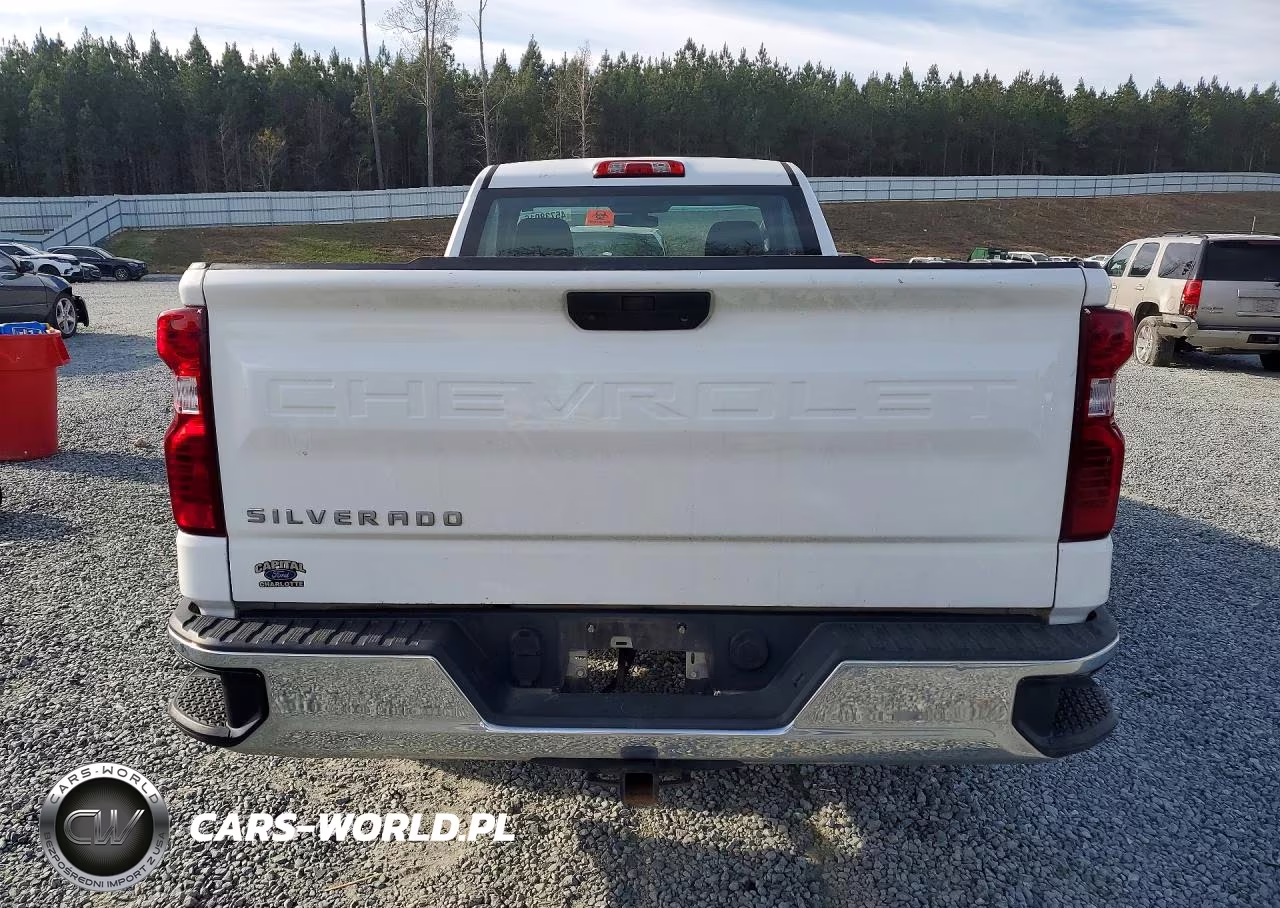 2020 Chevrolet Silverado C1500 VIN:3GCNWAEF7LG301226 - 6