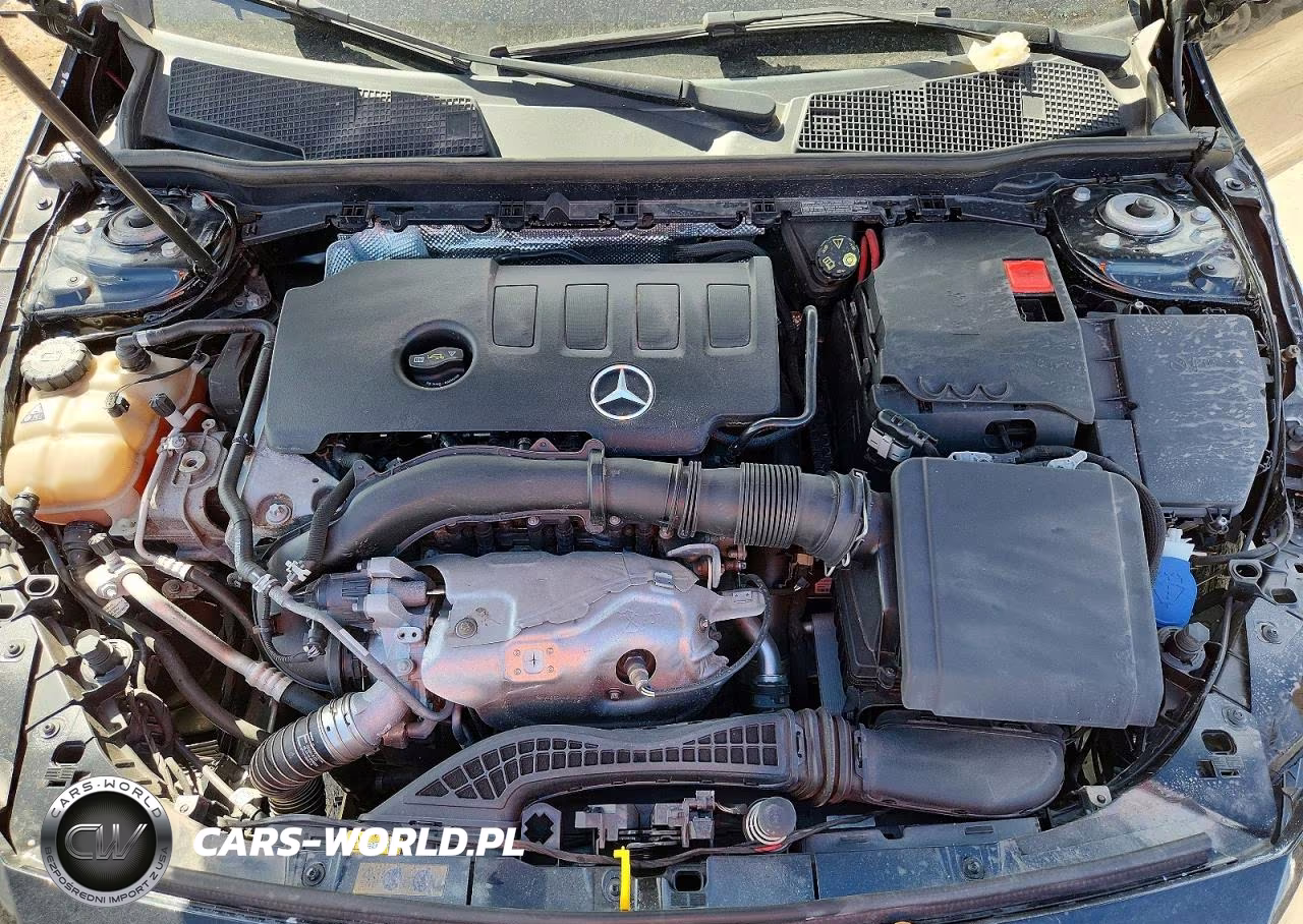 2019 Mercedes-Benz A 220 4Matic VIN:WDD3G4FB2KW024704 - 11