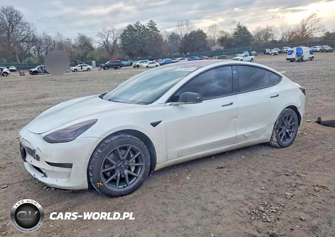 2019 Tesla Model 3 – zdjęcie 1 z 12