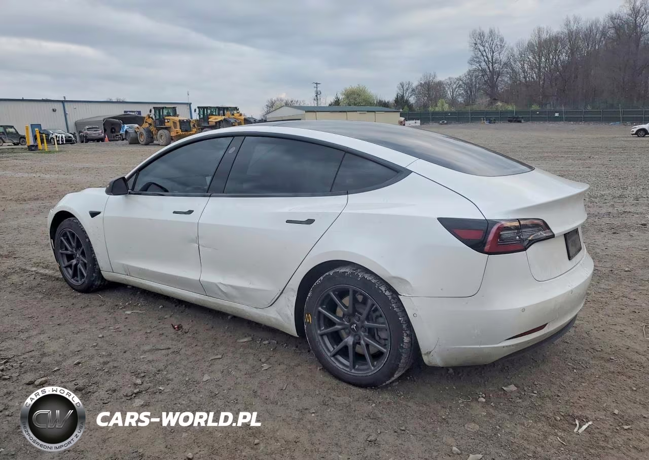 2019 Tesla Model 3 VIN:5YJ3E1EA1KF484061 - 2