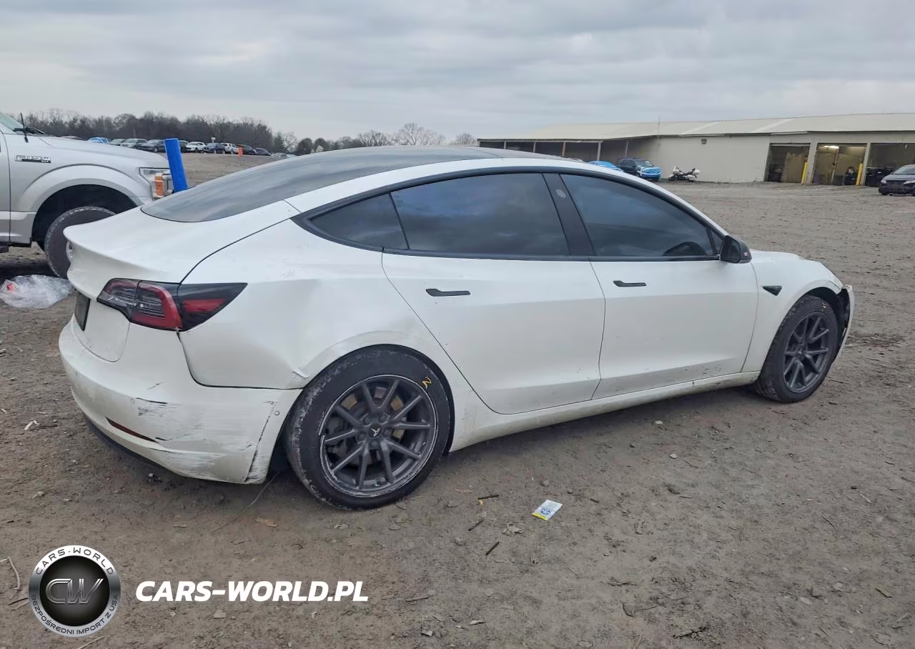 2019 Tesla Model 3 VIN:5YJ3E1EA1KF484061 - 3