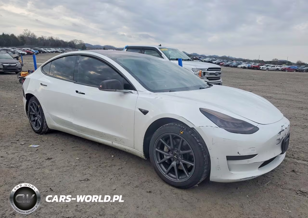 2019 Tesla Model 3 VIN:5YJ3E1EA1KF484061 - 4