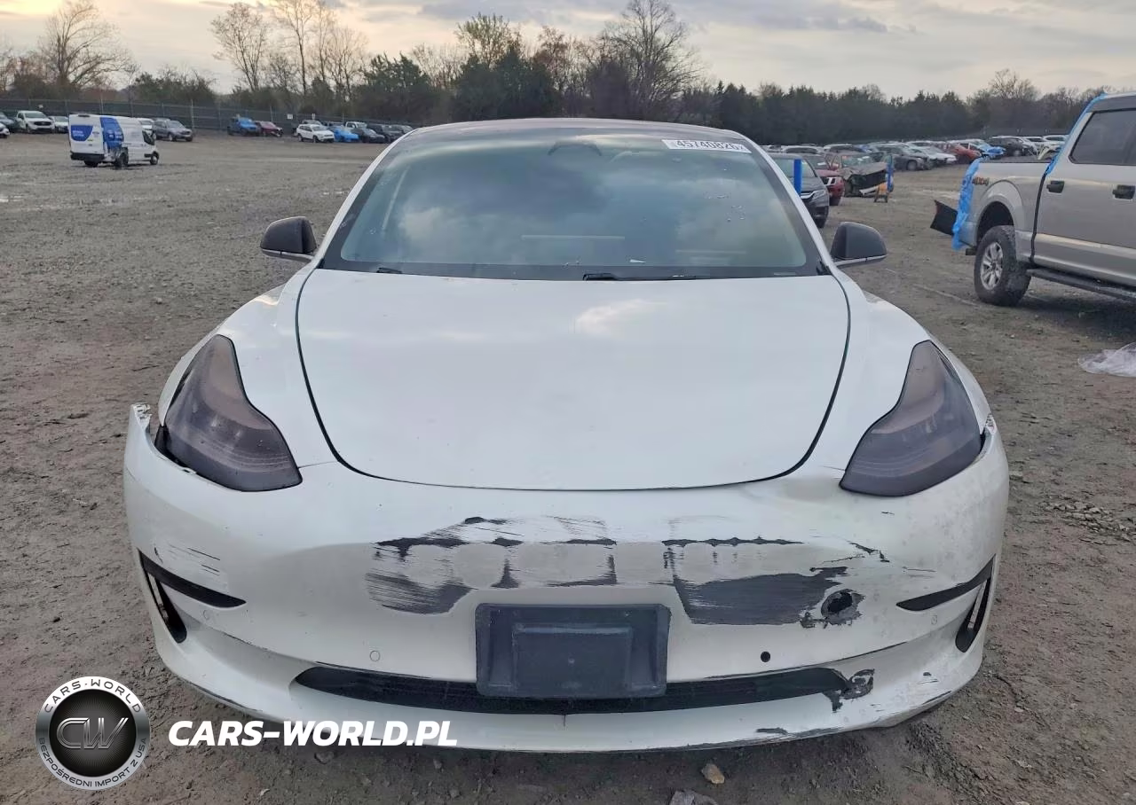 2019 Tesla Model 3 VIN:5YJ3E1EA1KF484061 - 5
