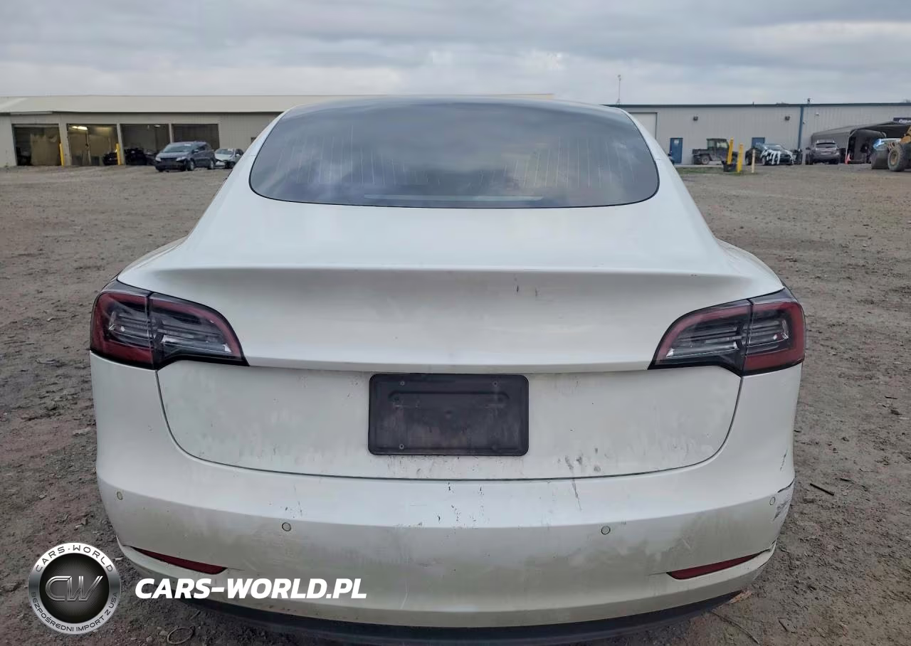 2019 Tesla Model 3 VIN:5YJ3E1EA1KF484061 - 6