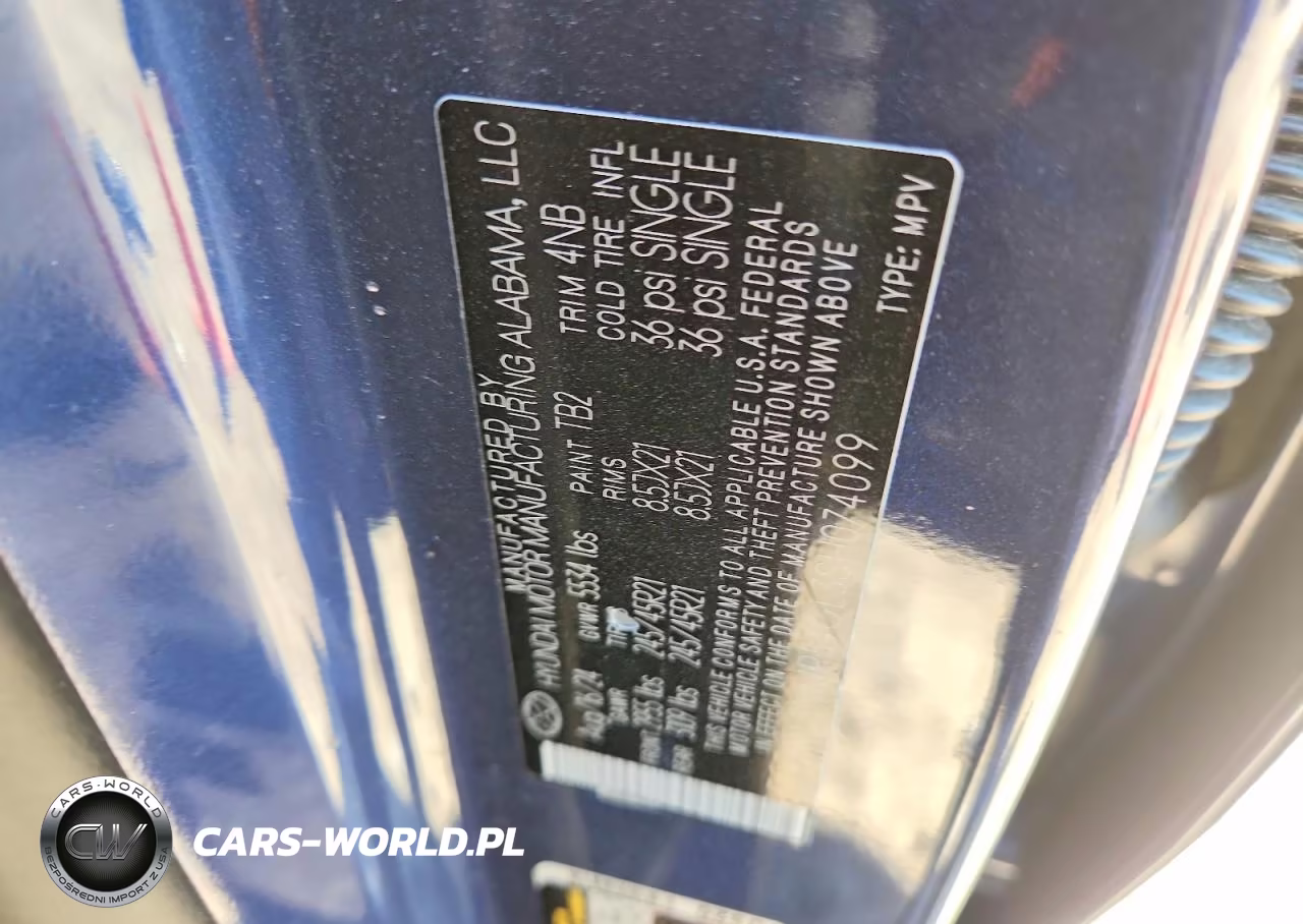 2025 Hyundai Santa Fe Calligraphy VIN:5NMP54GL3SH074099 - 13