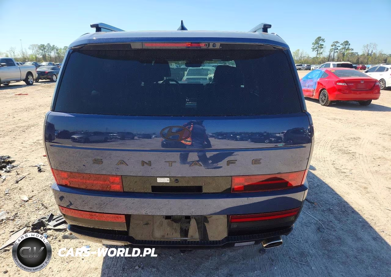 2025 Hyundai Santa Fe Calligraphy VIN:5NMP54GL3SH074099 - 6