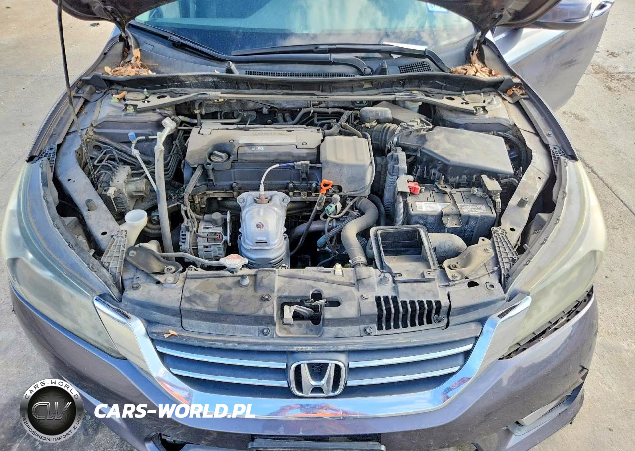 2014 Honda Accord Exl VIN:1HGCR2F83EA101225 - 11