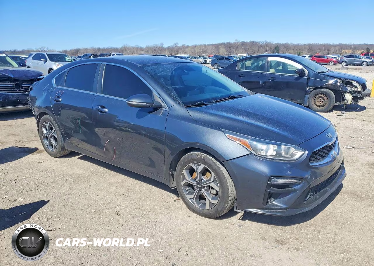 2020 Kia Forte Ex VIN:3KPF54AD6LE148881 - 4