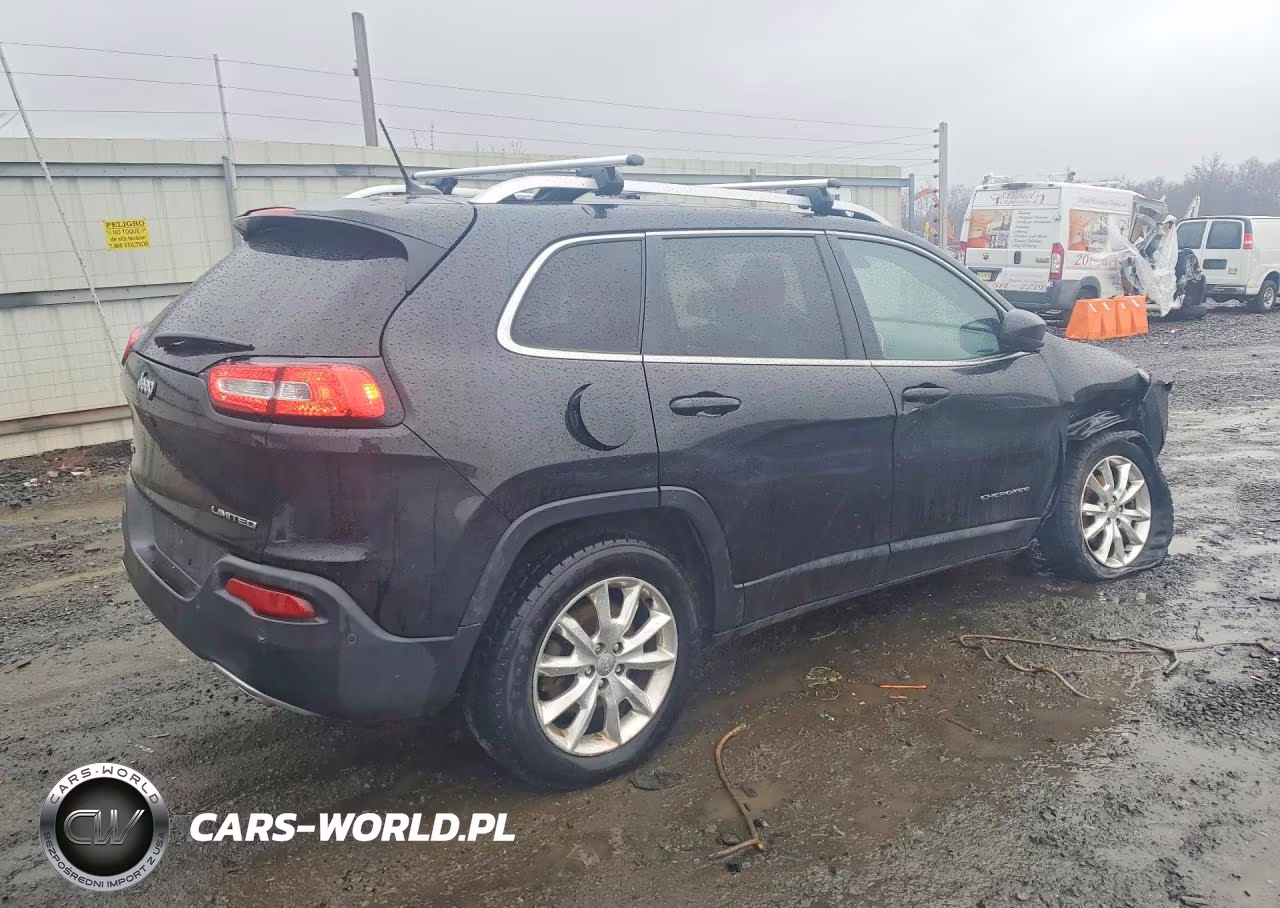 2014 Jeep Cherokee Limited VIN:1C4PJMDS1EW210934 - 3