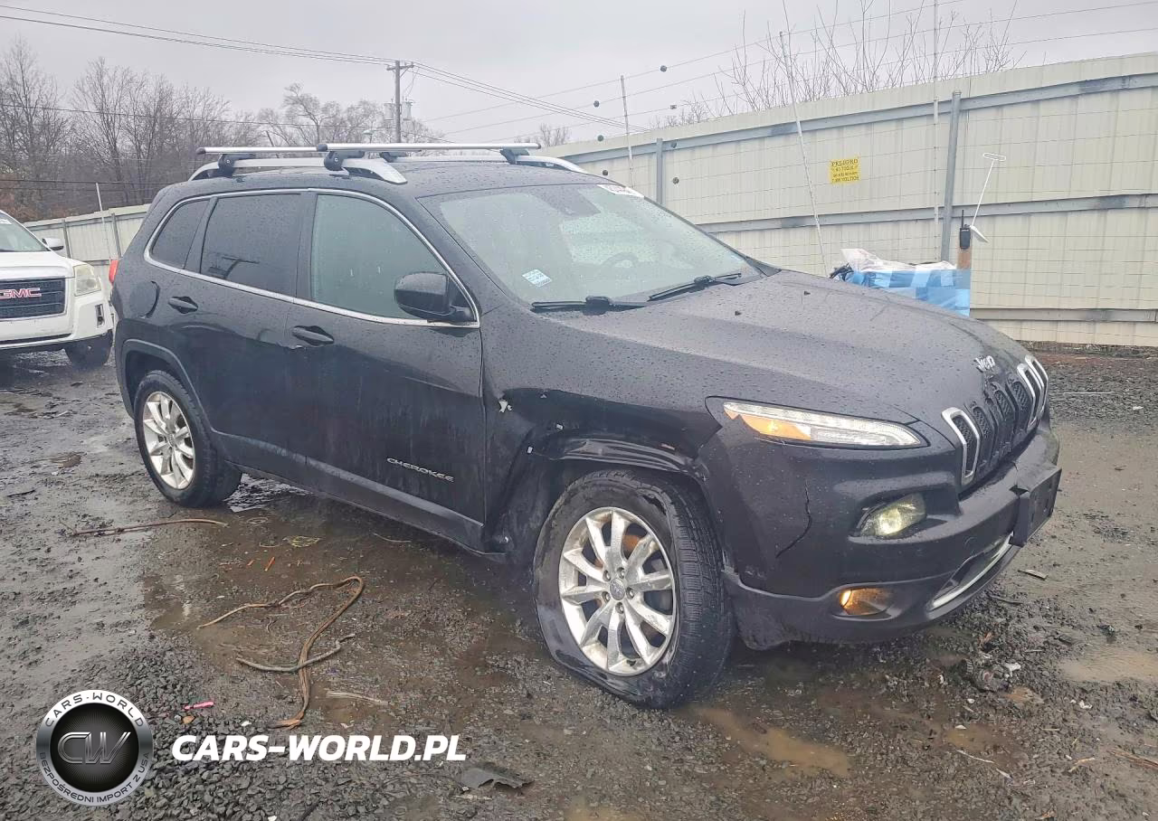 2014 Jeep Cherokee Limited VIN:1C4PJMDS1EW210934 - 4