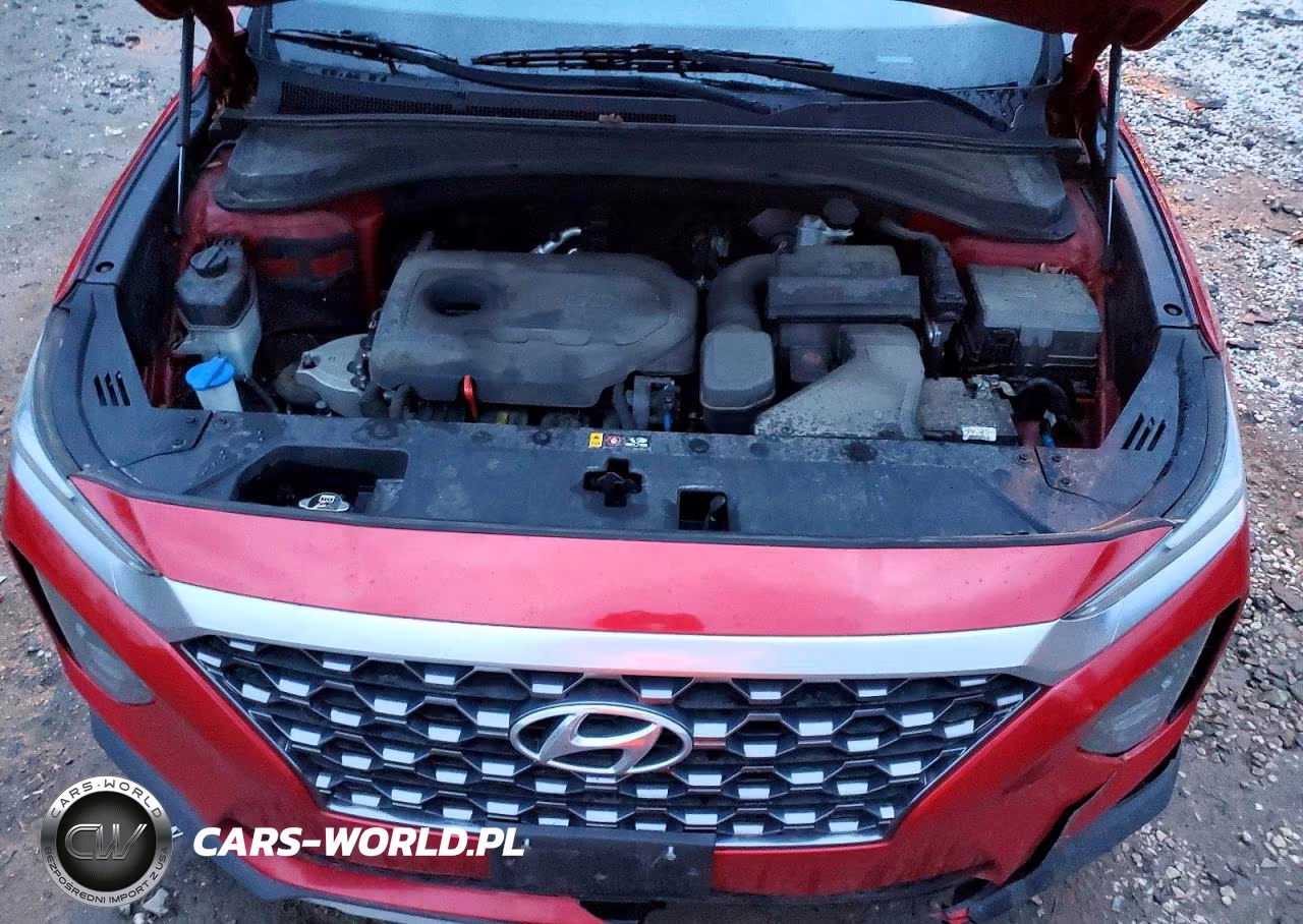 2019 Hyundai Santa Fe Se 2.4L VIN:5NMS2CAD6KH100886 - 12