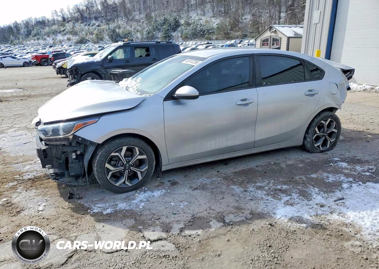 2019 Kia Forte Lxs