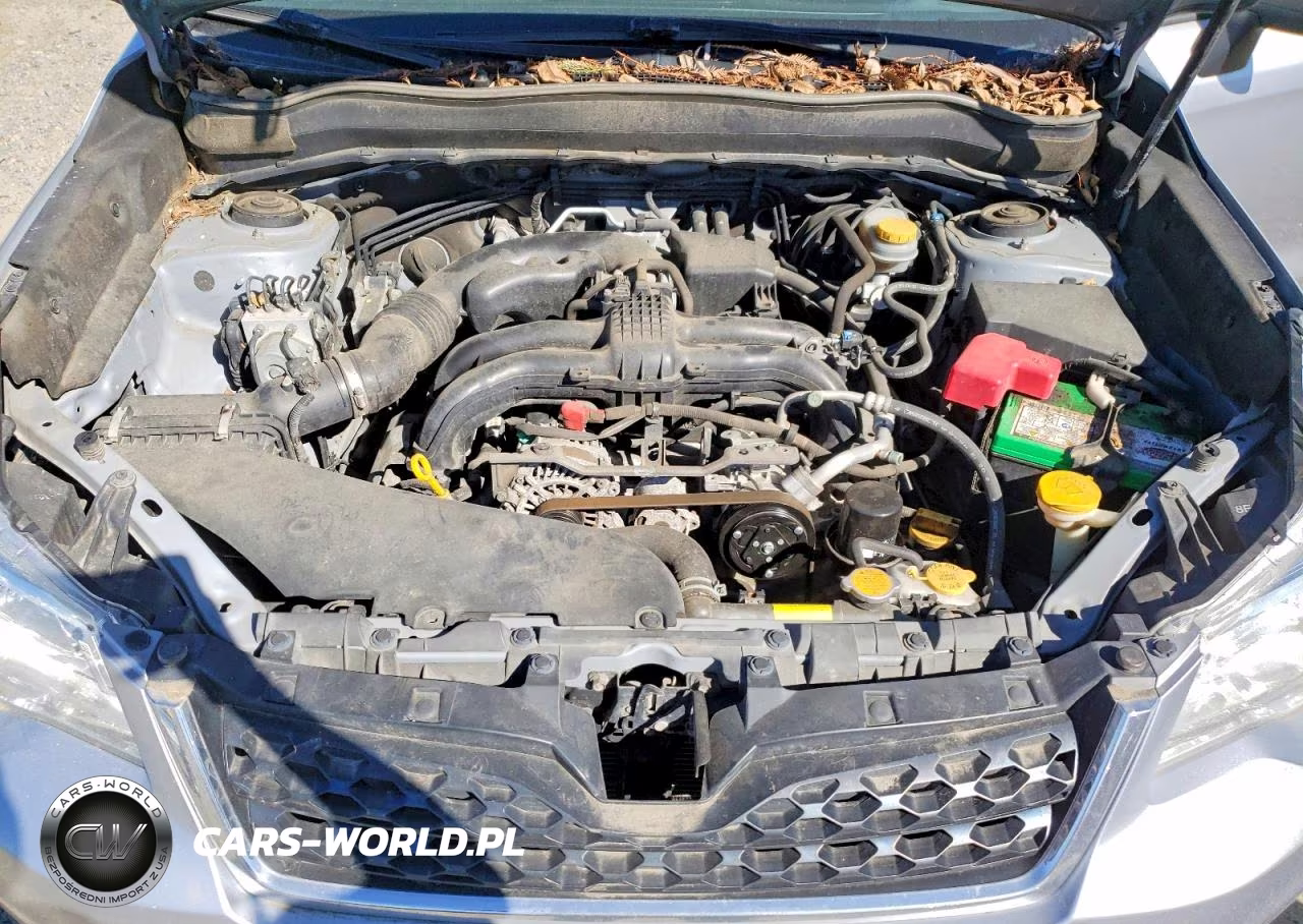 2016 Subaru Forester 2.5I VIN:JF2SJABC5GH481931 - 12