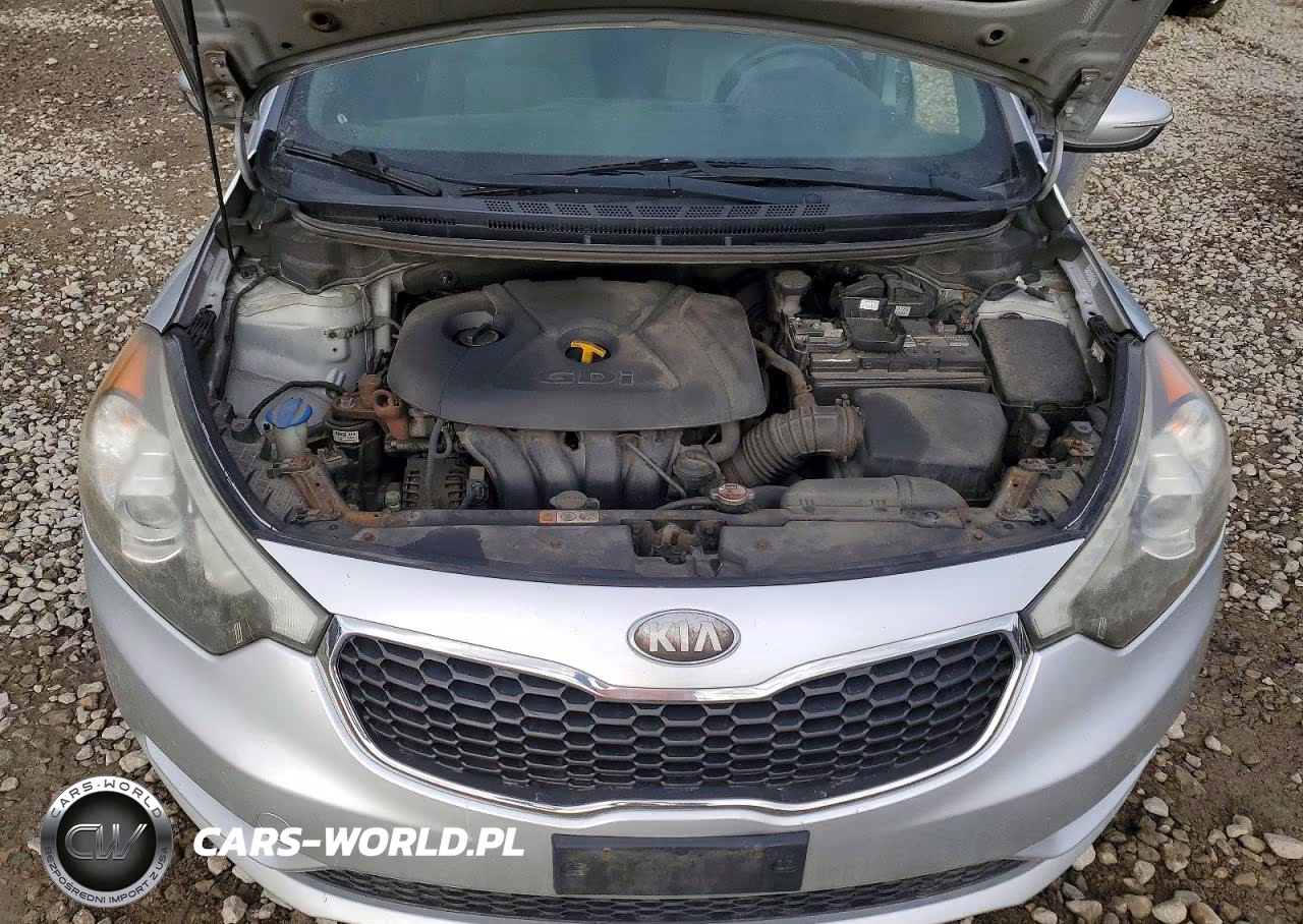 2014 Kia Forte Ex VIN:KNAFX4A8XE5049019 - 11
