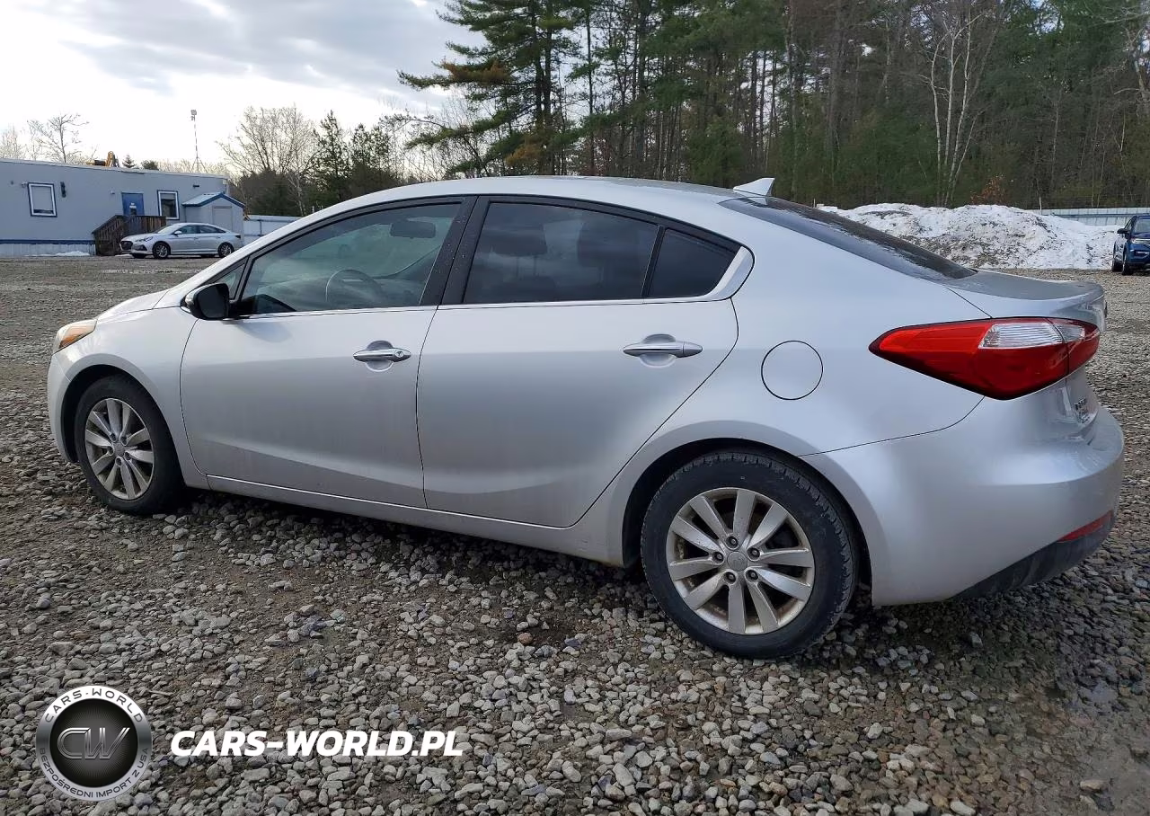 2014 Kia Forte Ex VIN:KNAFX4A8XE5049019 - 2