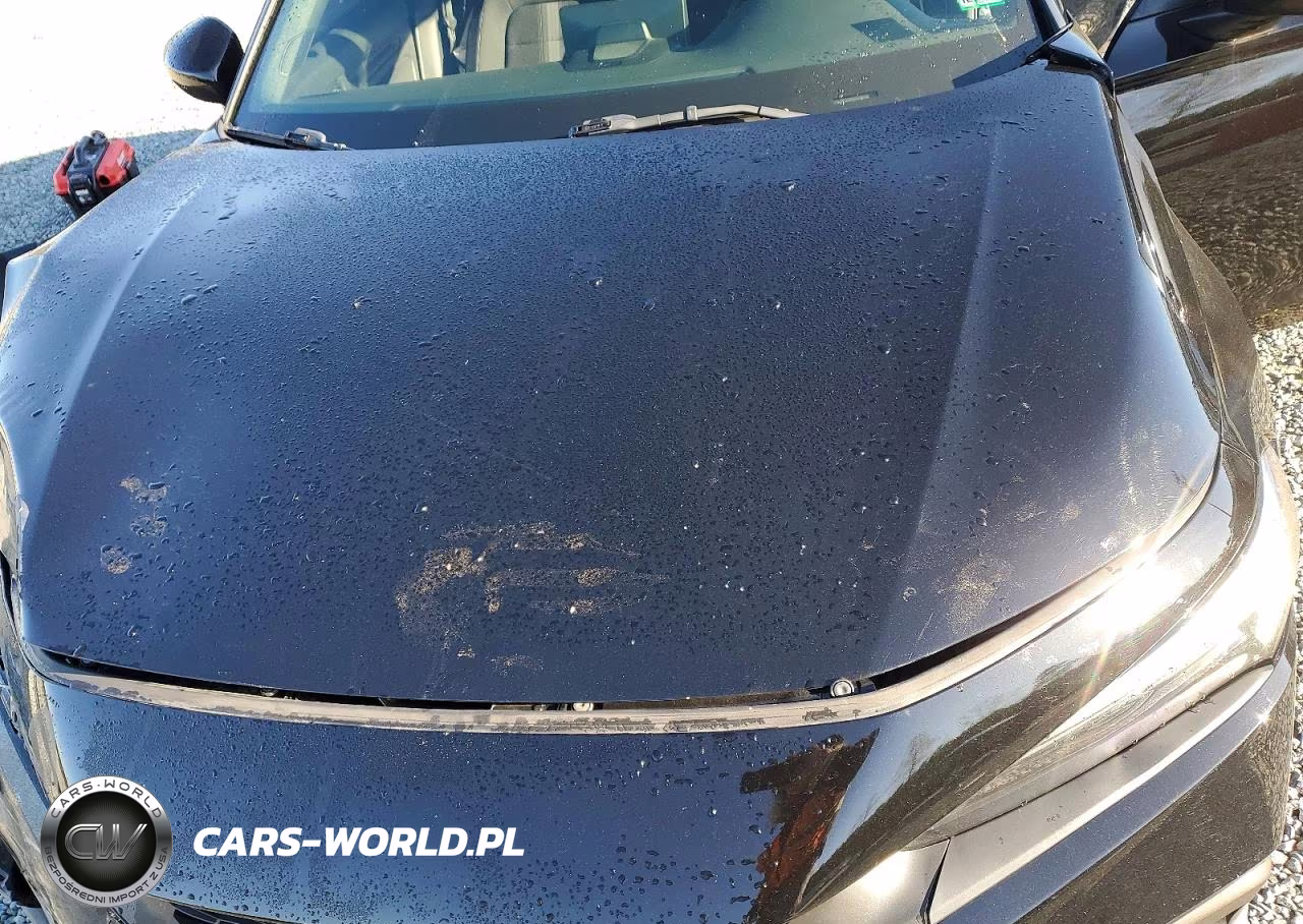 2022 Honda Civic Sport VIN:19XFL2H86NE011638 - 11