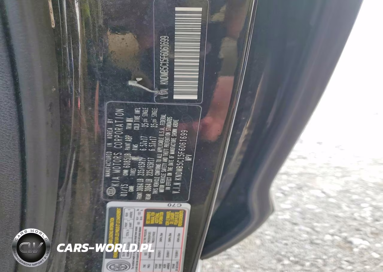 2015 Kia Sedona Lx VIN:KNDMB5C15F6061699 - 13