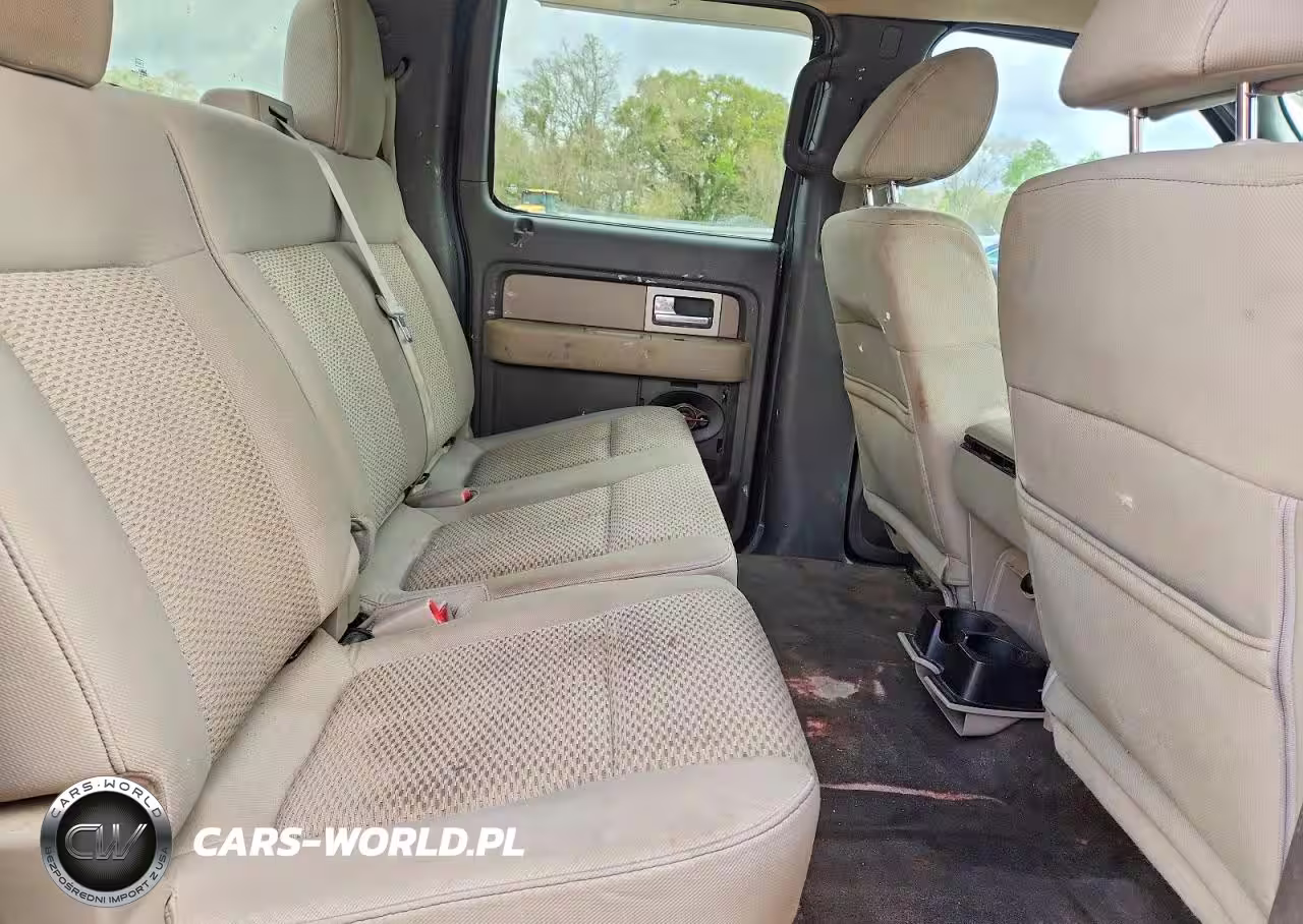 2010 Ford F150 Supercrew VIN:1FTFW1CVXAFA85174 - 10
