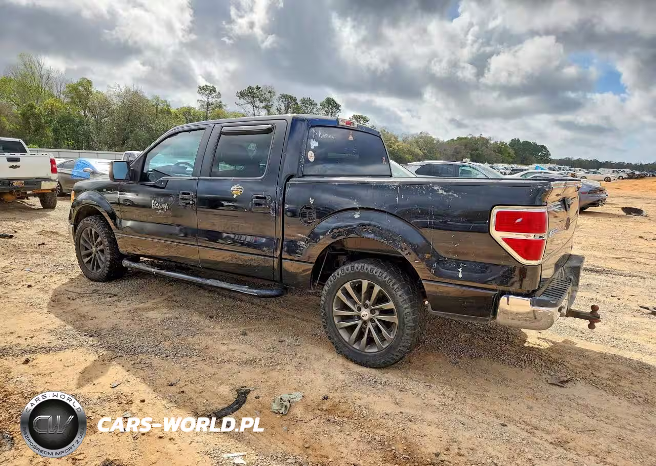 2010 Ford F150 Supercrew VIN:1FTFW1CVXAFA85174 - 2