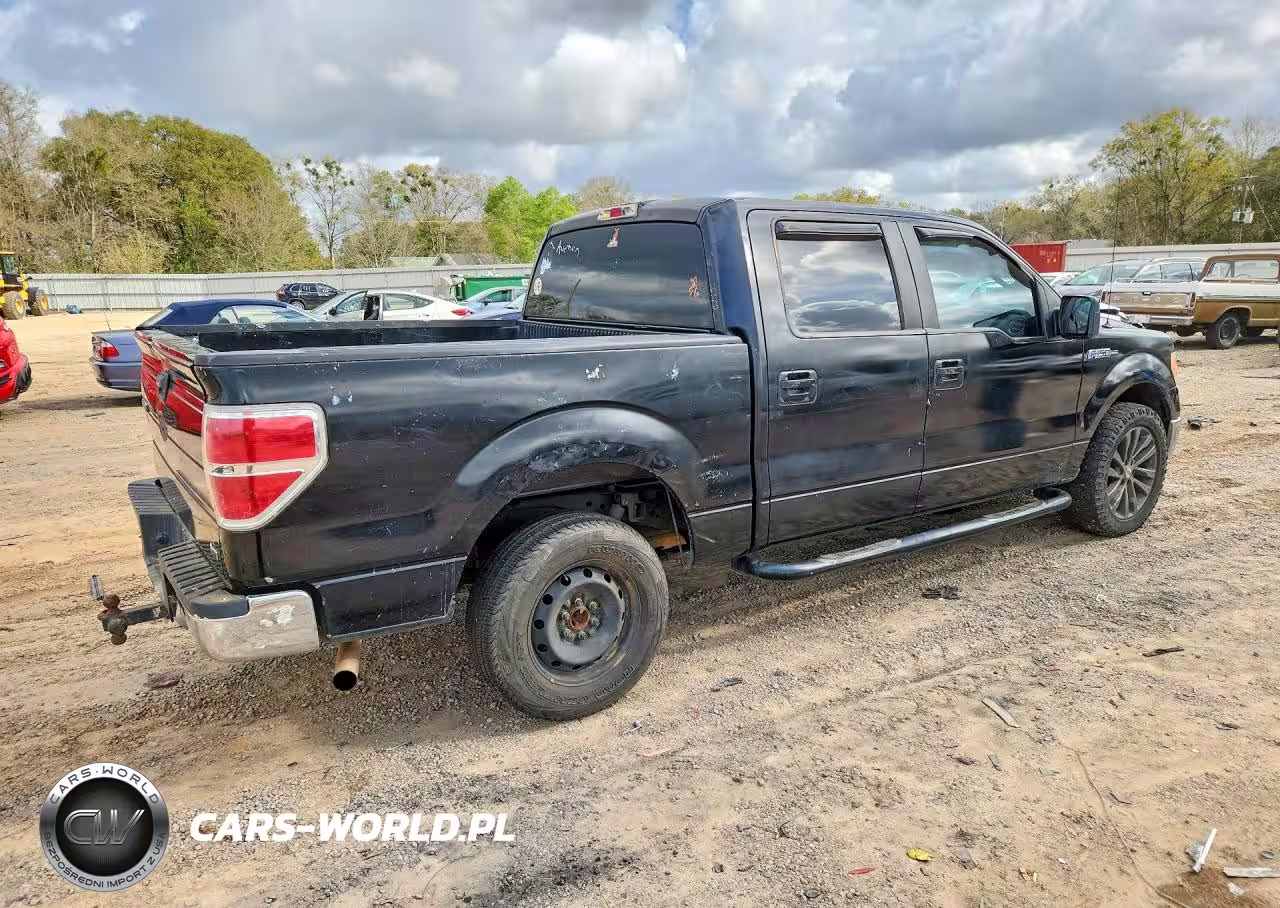 2010 Ford F150 Supercrew VIN:1FTFW1CVXAFA85174 - 3