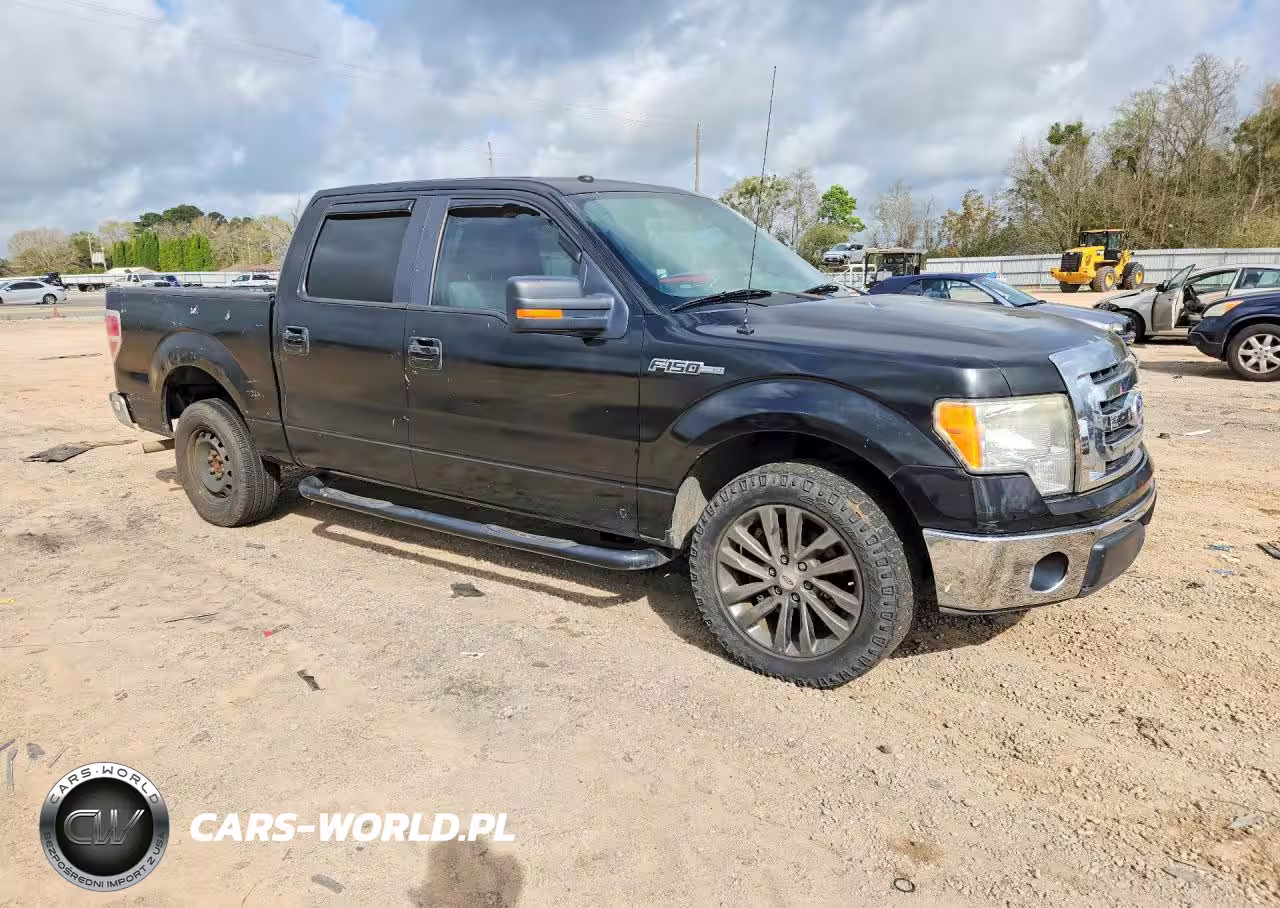 2010 Ford F150 Supercrew VIN:1FTFW1CVXAFA85174 - 4