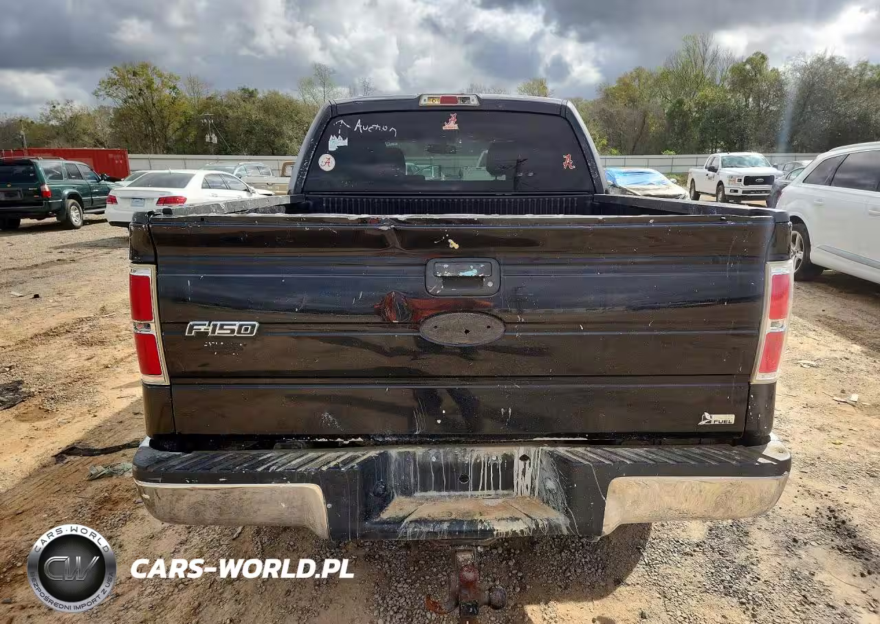 2010 Ford F150 Supercrew VIN:1FTFW1CVXAFA85174 - 6