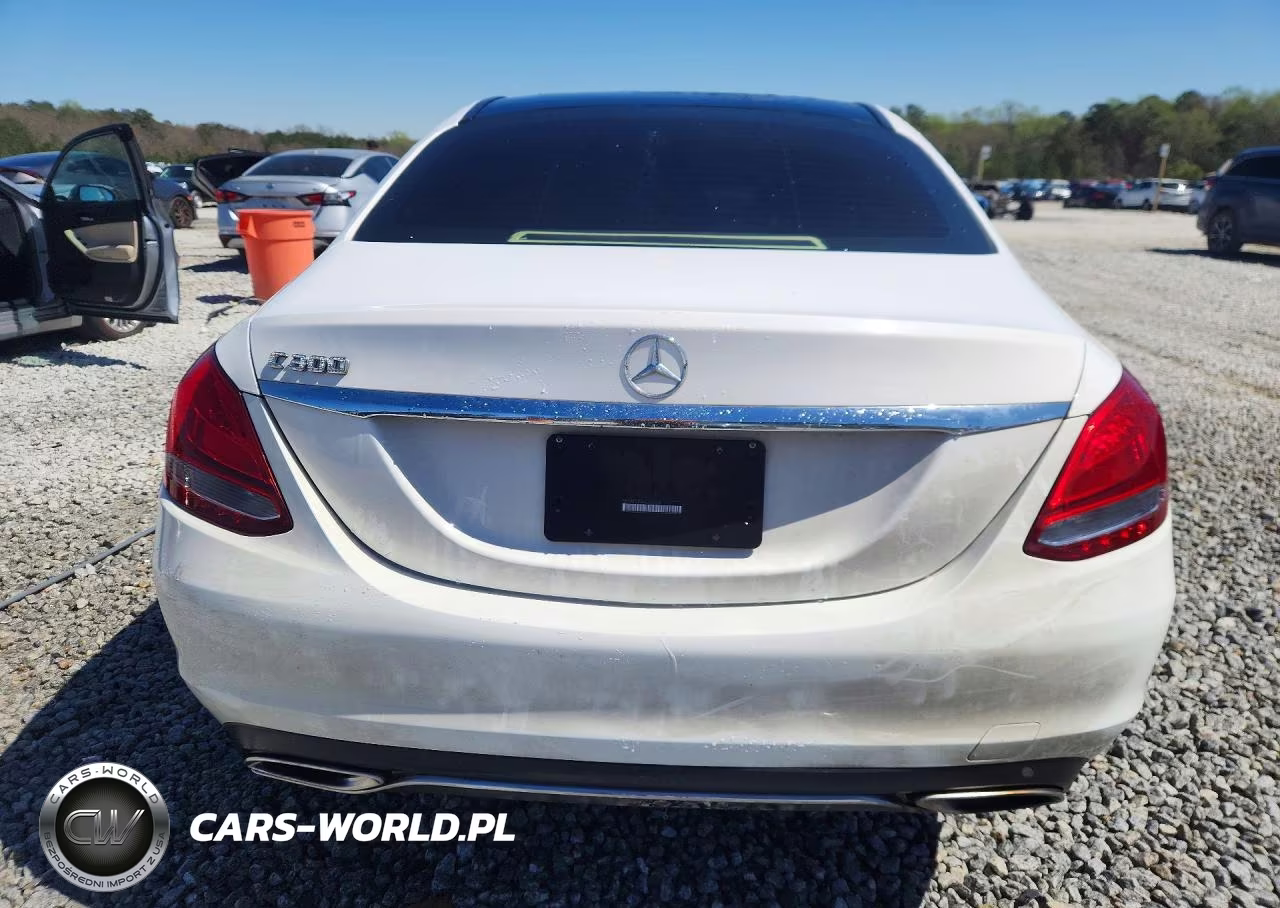 2017 Mercedes-Benz C 300 VIN:55SWF4JB9HU201858 - 6