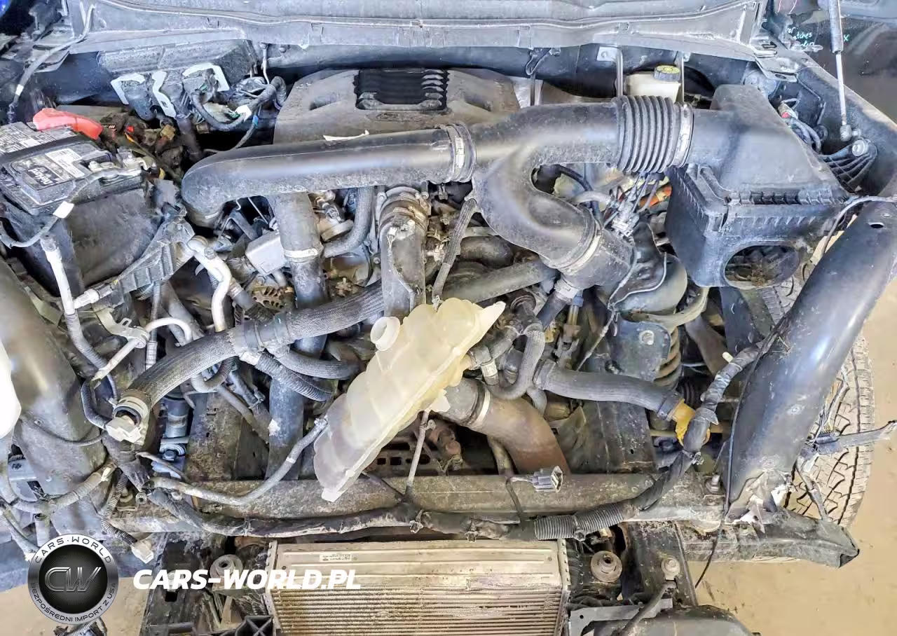 2021 Ford F150 Supercrew VIN:1FTFW1E83MFB41449 - 11