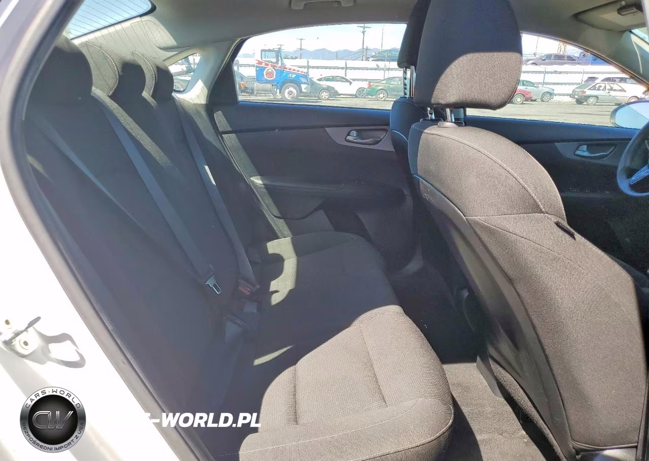 2020 Kia Forte Fe VIN:3KPF24AD2LE180848 - 10
