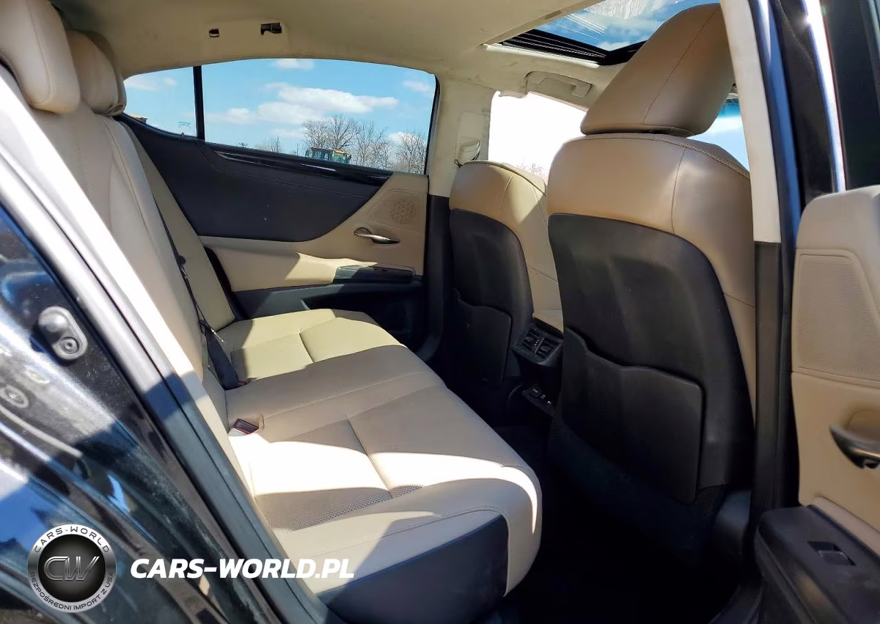 2021 Lexus Es 250 Base VIN:58AD11D17MU005612 - 10