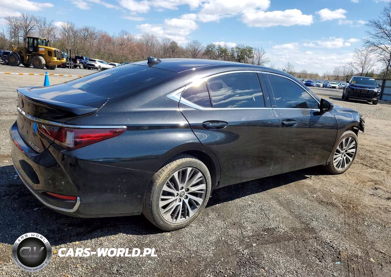 2021 Lexus Es 250 Base VIN:58AD11D17MU005612 - 3