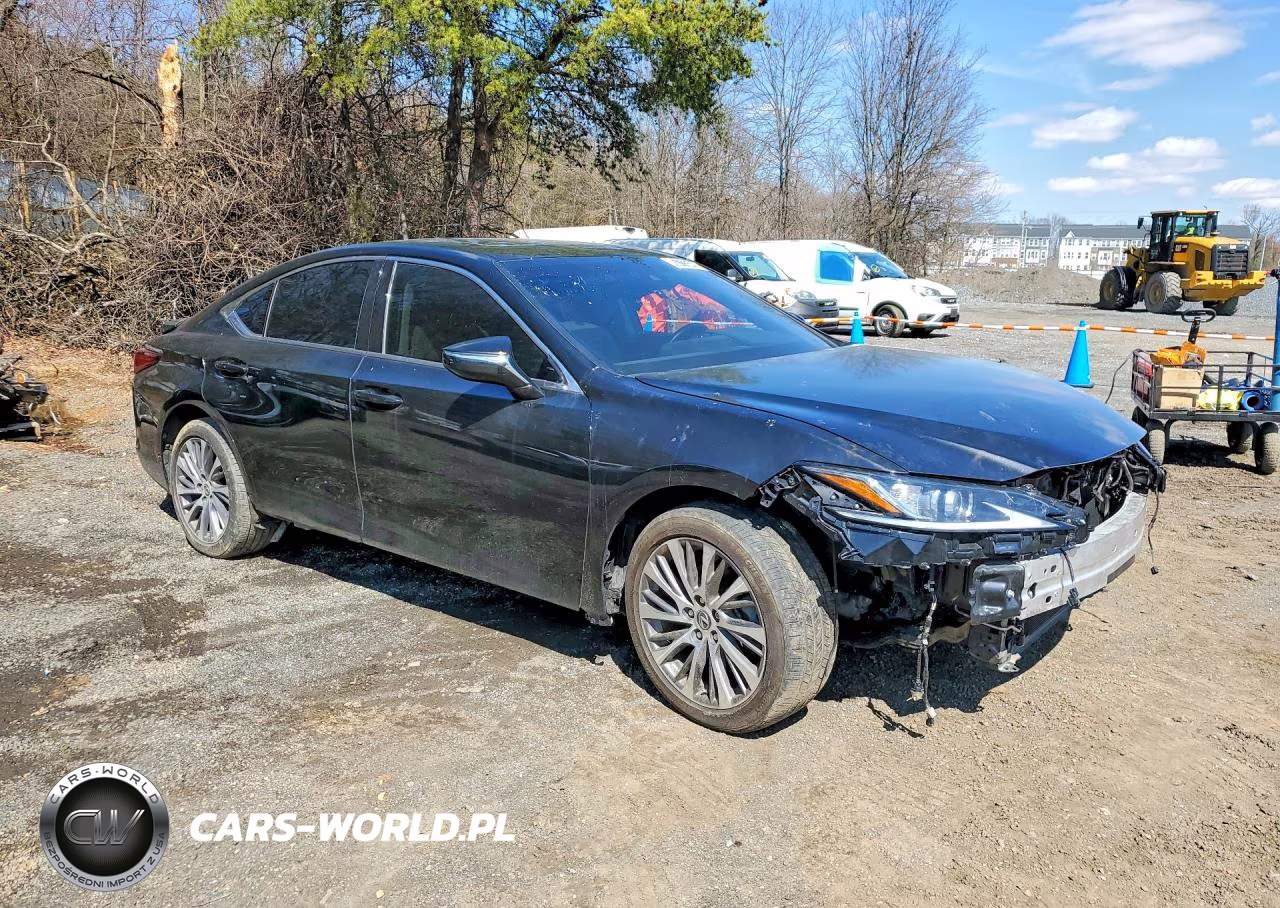 2021 Lexus Es 250 Base VIN:58AD11D17MU005612 - 4