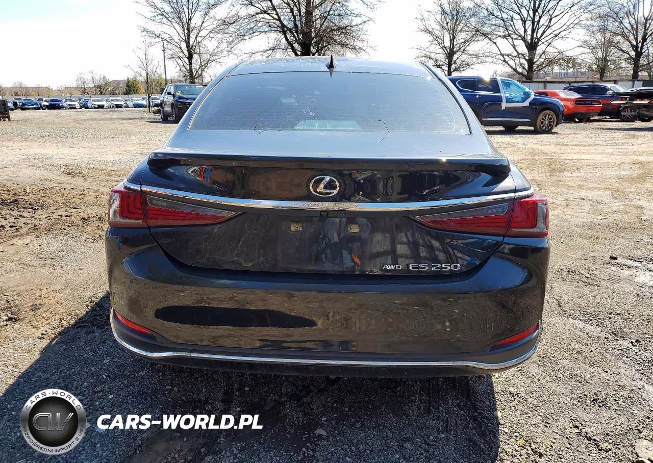 2021 Lexus Es 250 Base VIN:58AD11D17MU005612 - 6