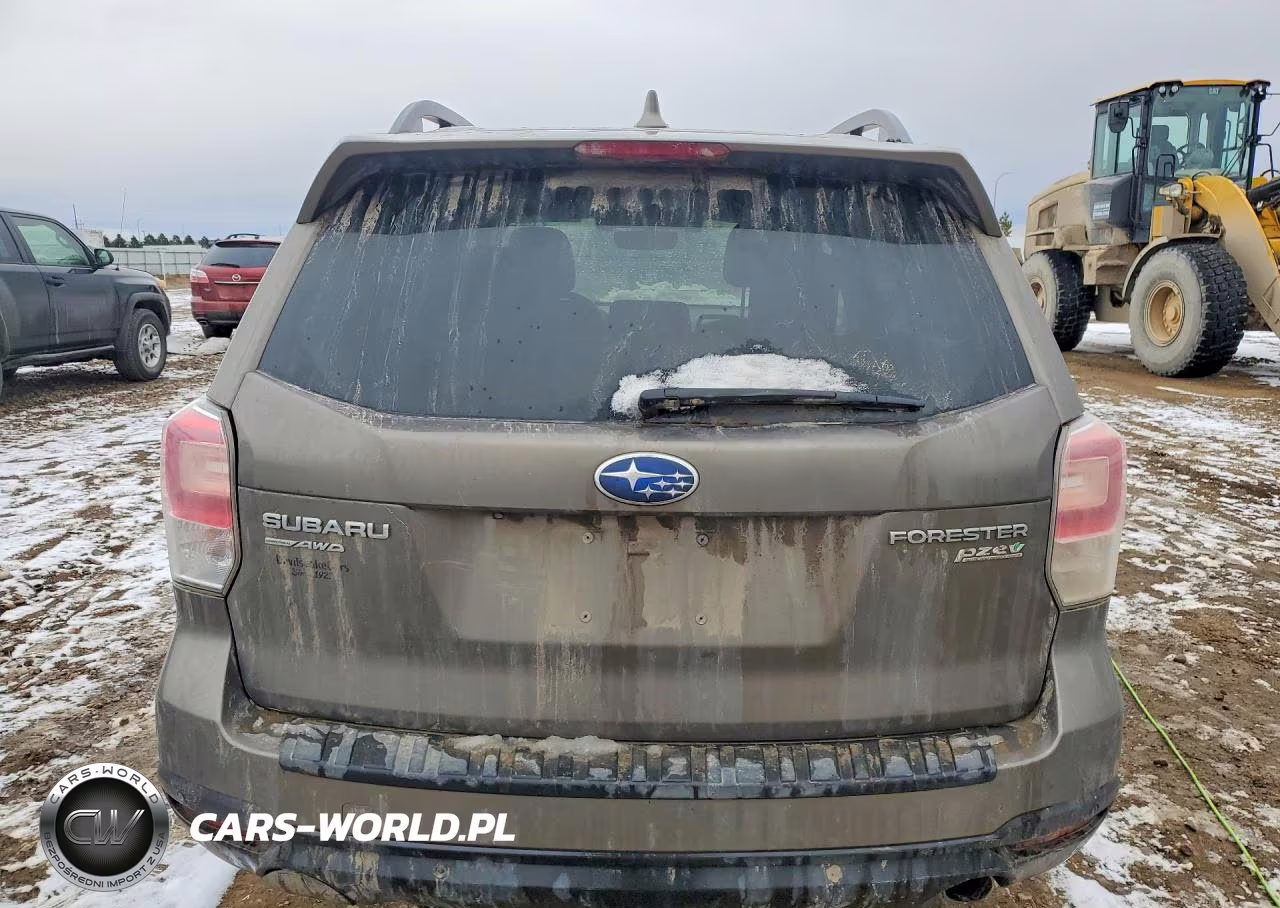 2017 Subaru Forester 2.5I Touring VIN:JF2SJAWC0HH447388 - 6